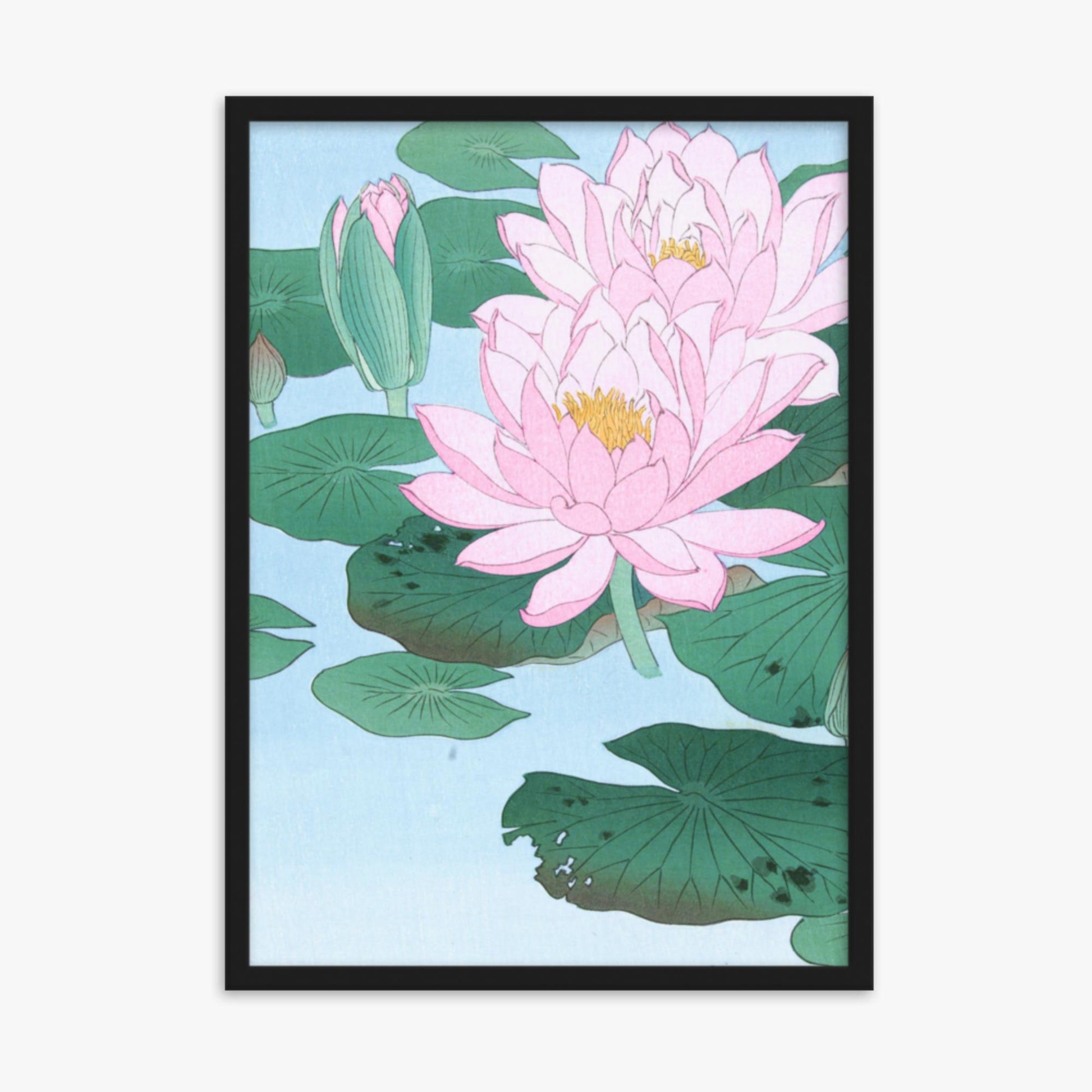 Ohara Koson - Water Lily 50x70 cm Poster With Black Frame