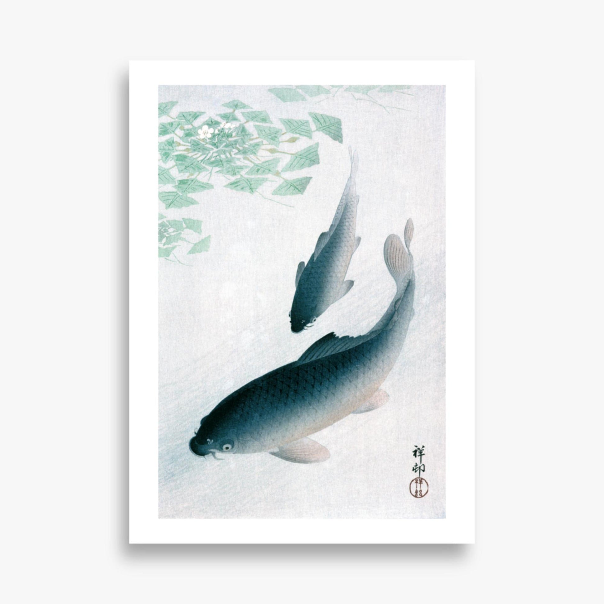 Ohara Koson - Carp or Koi 50x70 cm Poster