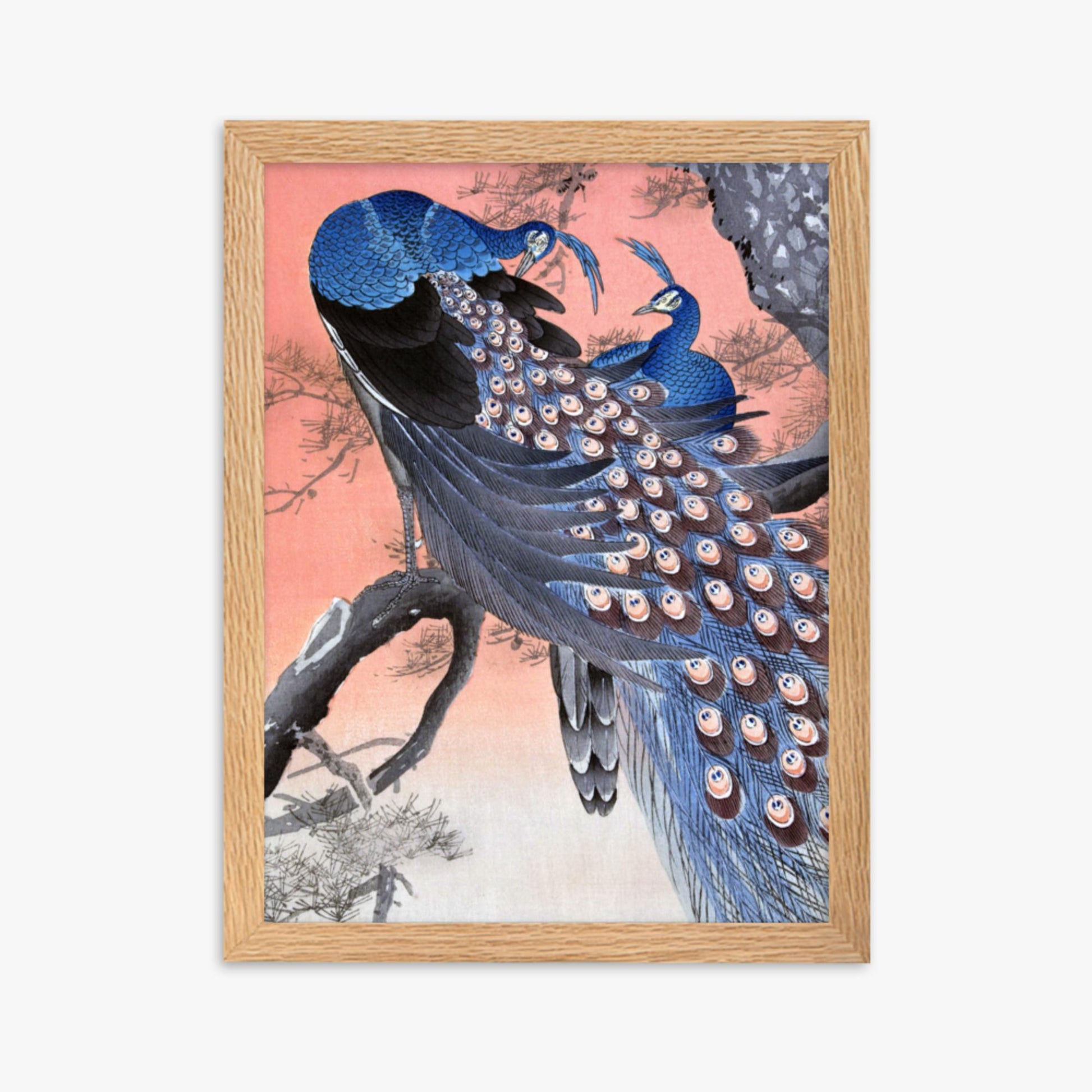 Ohara Koson - Two Peacocks on Tree Branch 30x40 cm Poster With Oak Frame