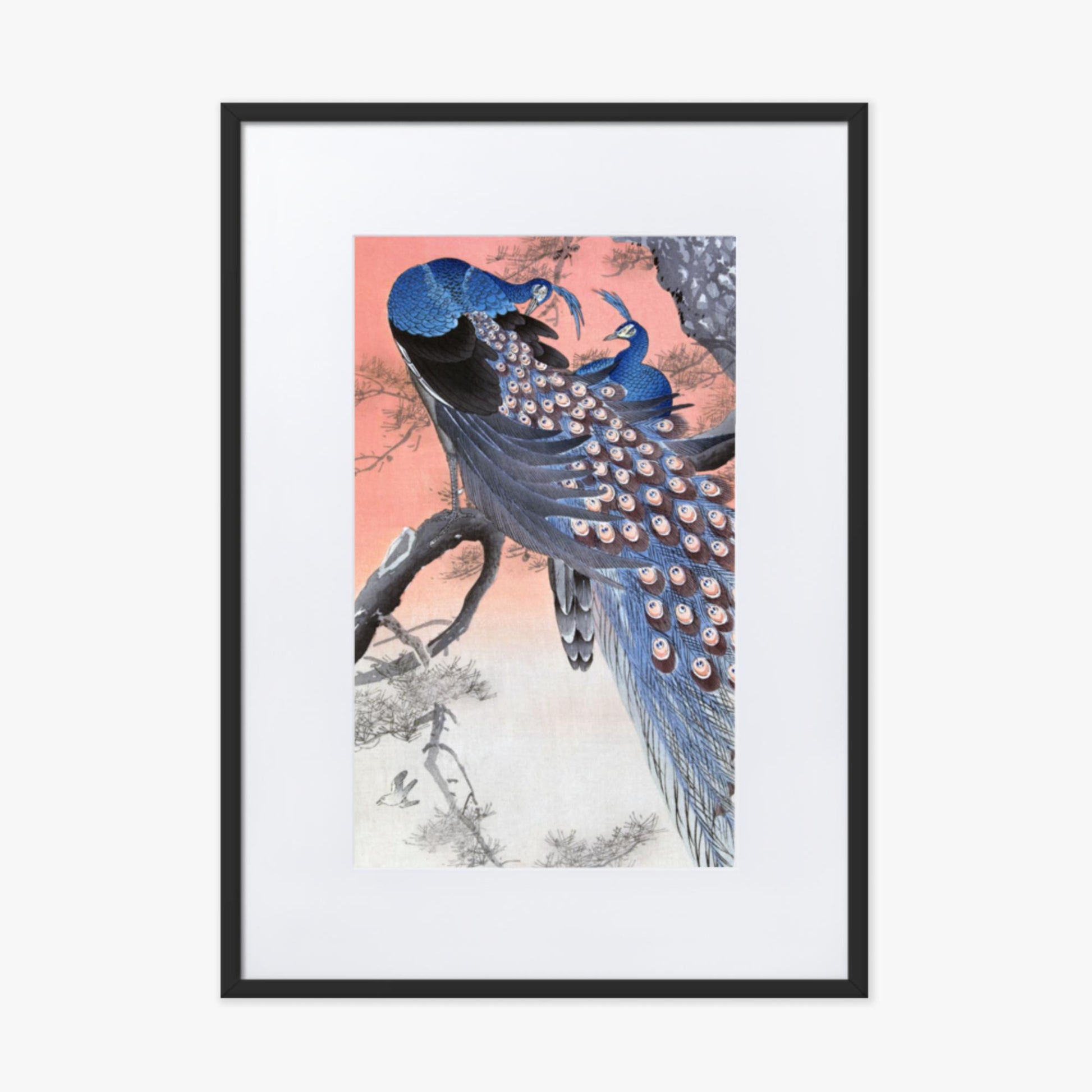 Ohara Koson - Two Peacocks on Tree Branch 50x70 cm Poster With Black Frame