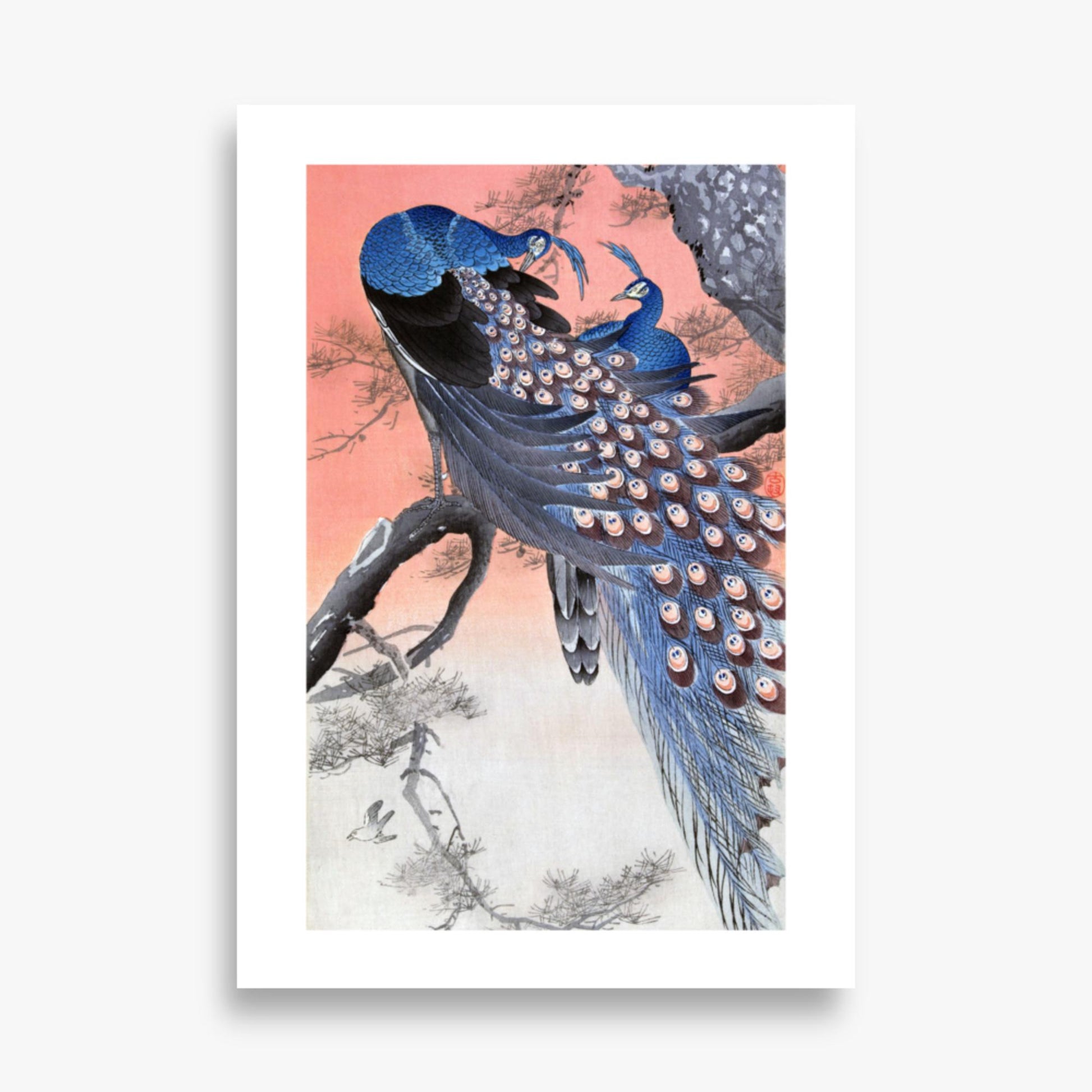 Ohara Koson - Two Peacocks on Tree Branch 70x100 cm Poster