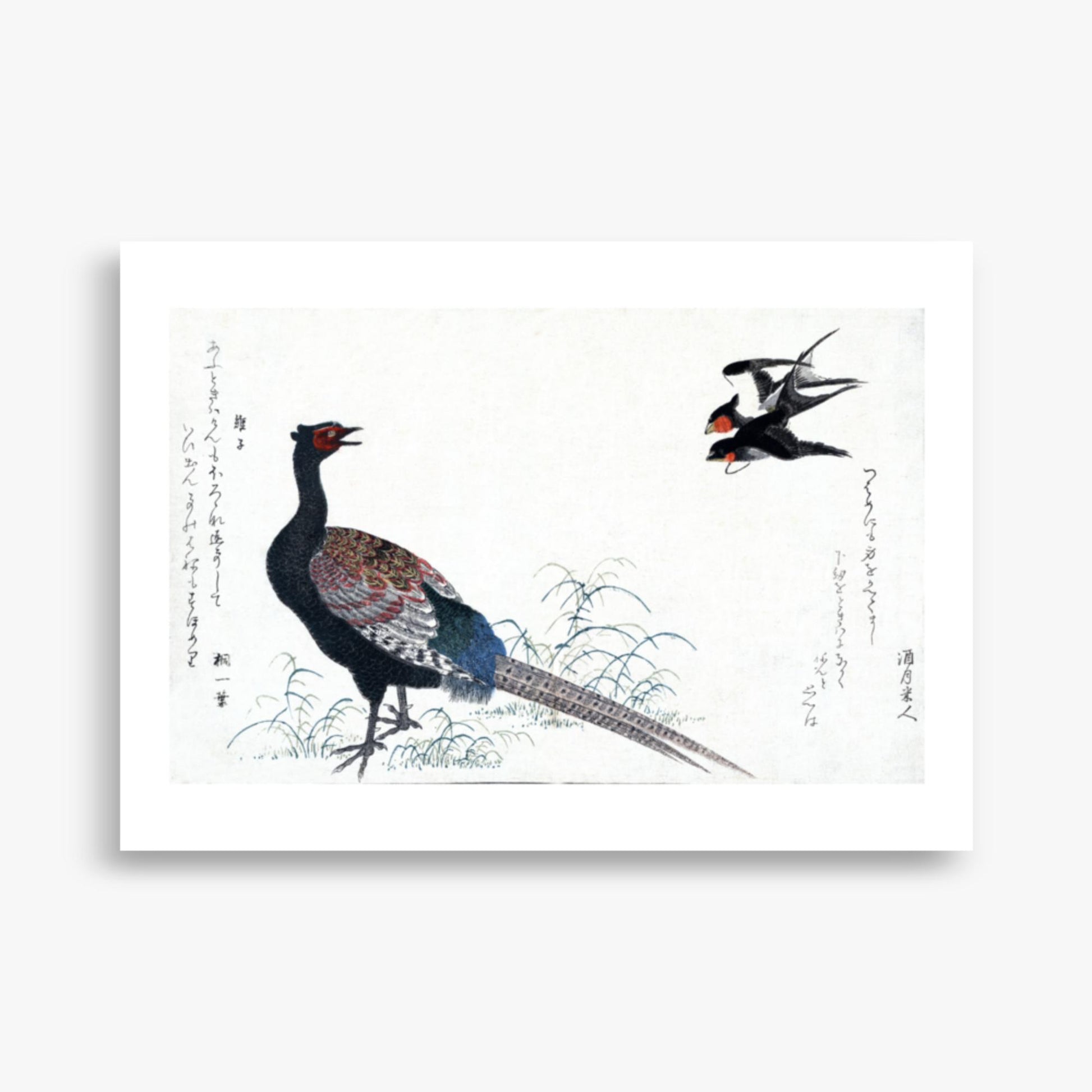 Utamaro Kitagawa - Swallows and Pheasant 50x70 cm Poster