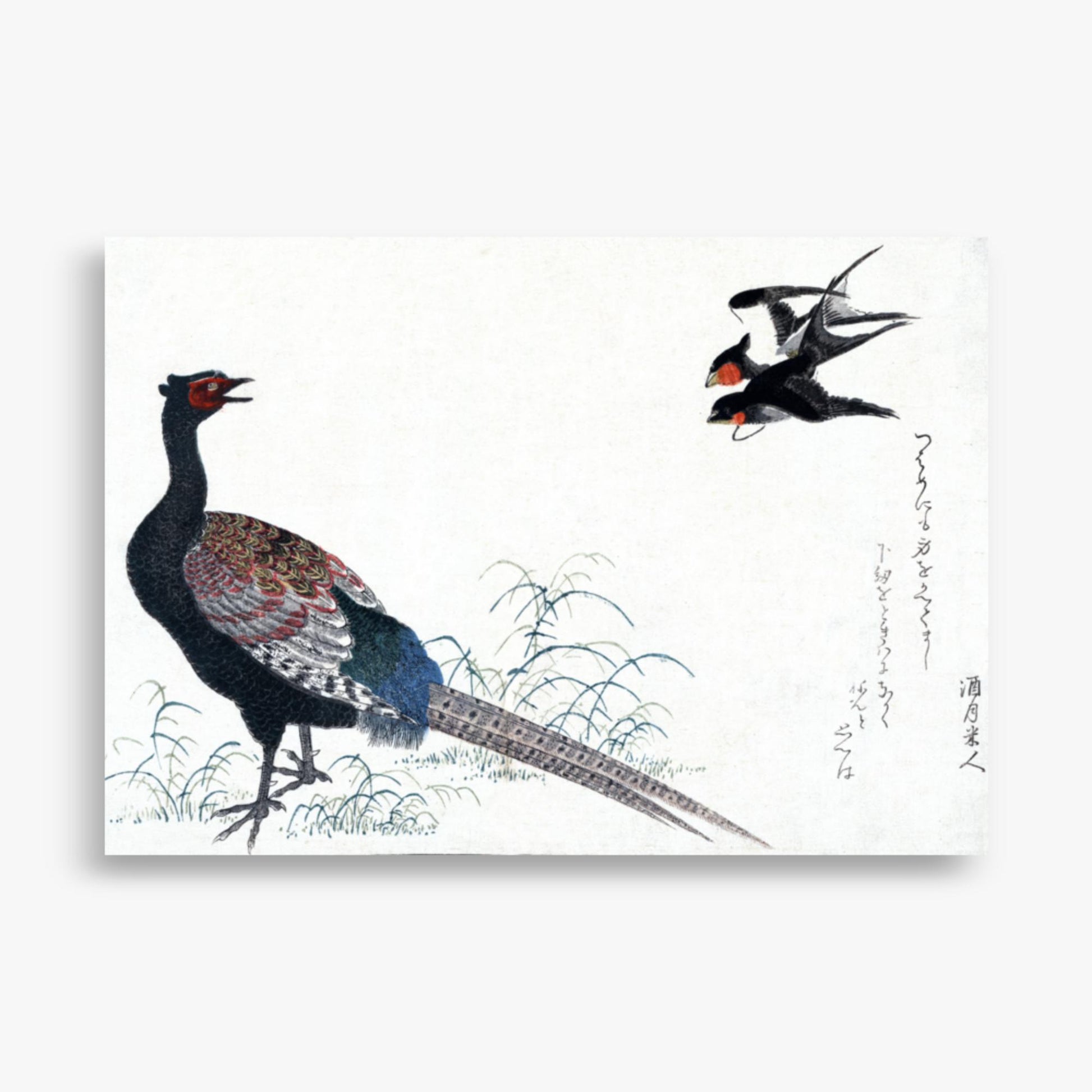 Utamaro Kitagawa - Swallows and Pheasant 70x100 cm Poster