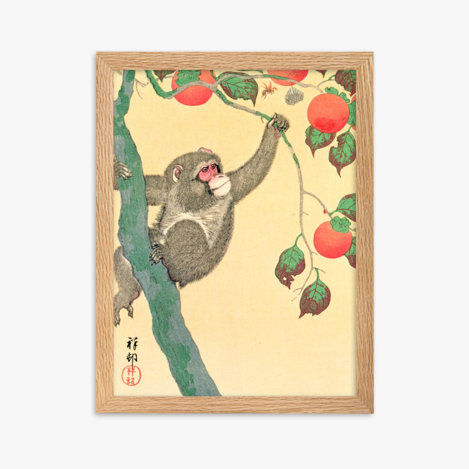 Ohara Koson: Monkey in a Persimmon - 30x40 cm Poster With Oak Frame