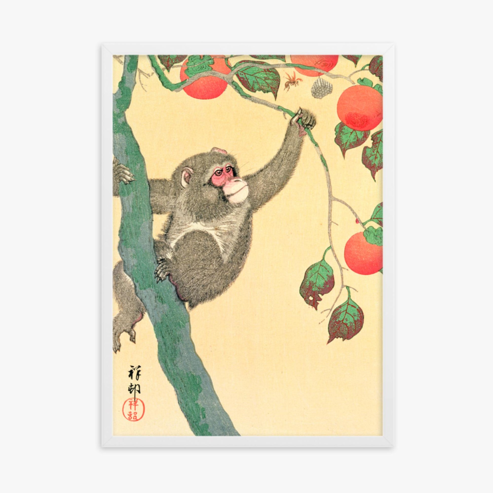 Ohara Koson: Monkey in a Persimmon - 50x70 cm Poster With White Frame