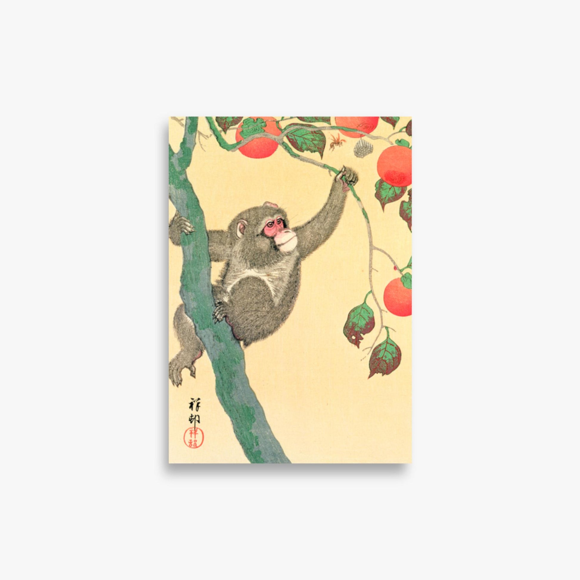 Ohara Koson: Monkey in a Persimmon - 21x30 cm Poster