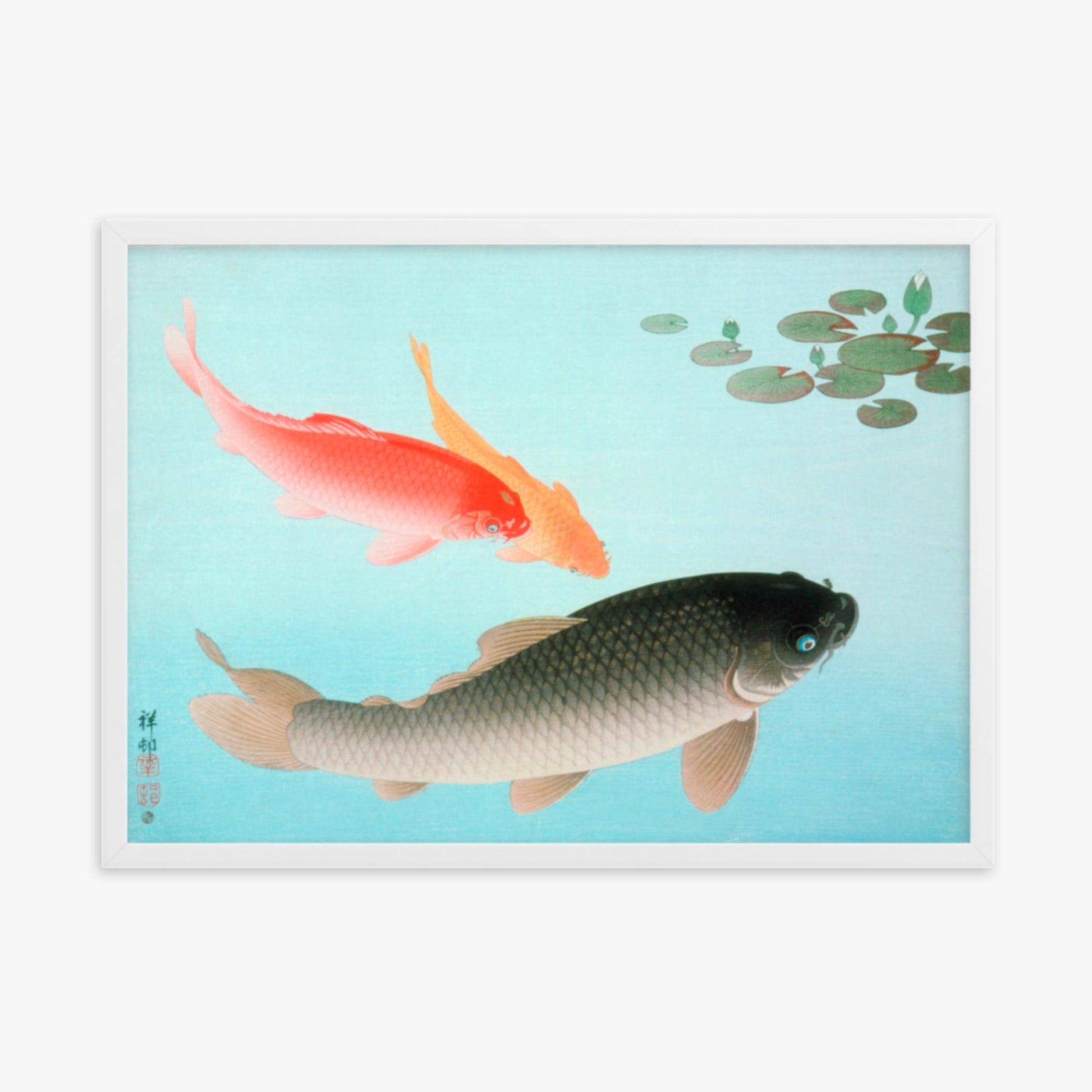 Ohara Koson - Common and Golden Carp 50x70 cm Poster With White Frame