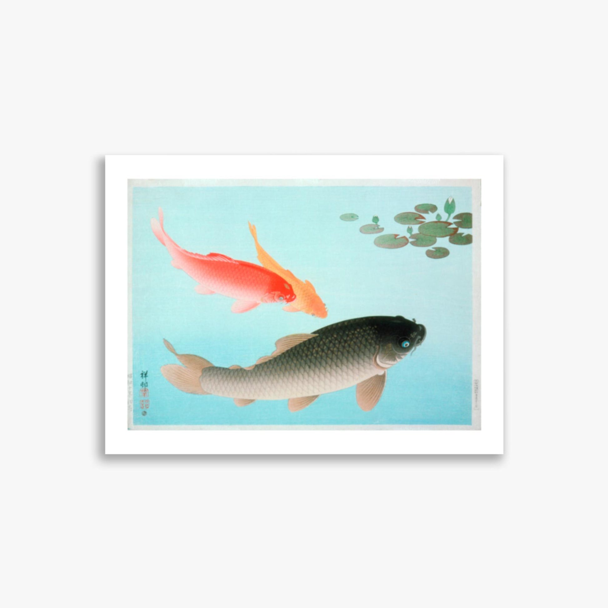 Ohara Koson - Common and Golden Carp 30x40 cm Poster