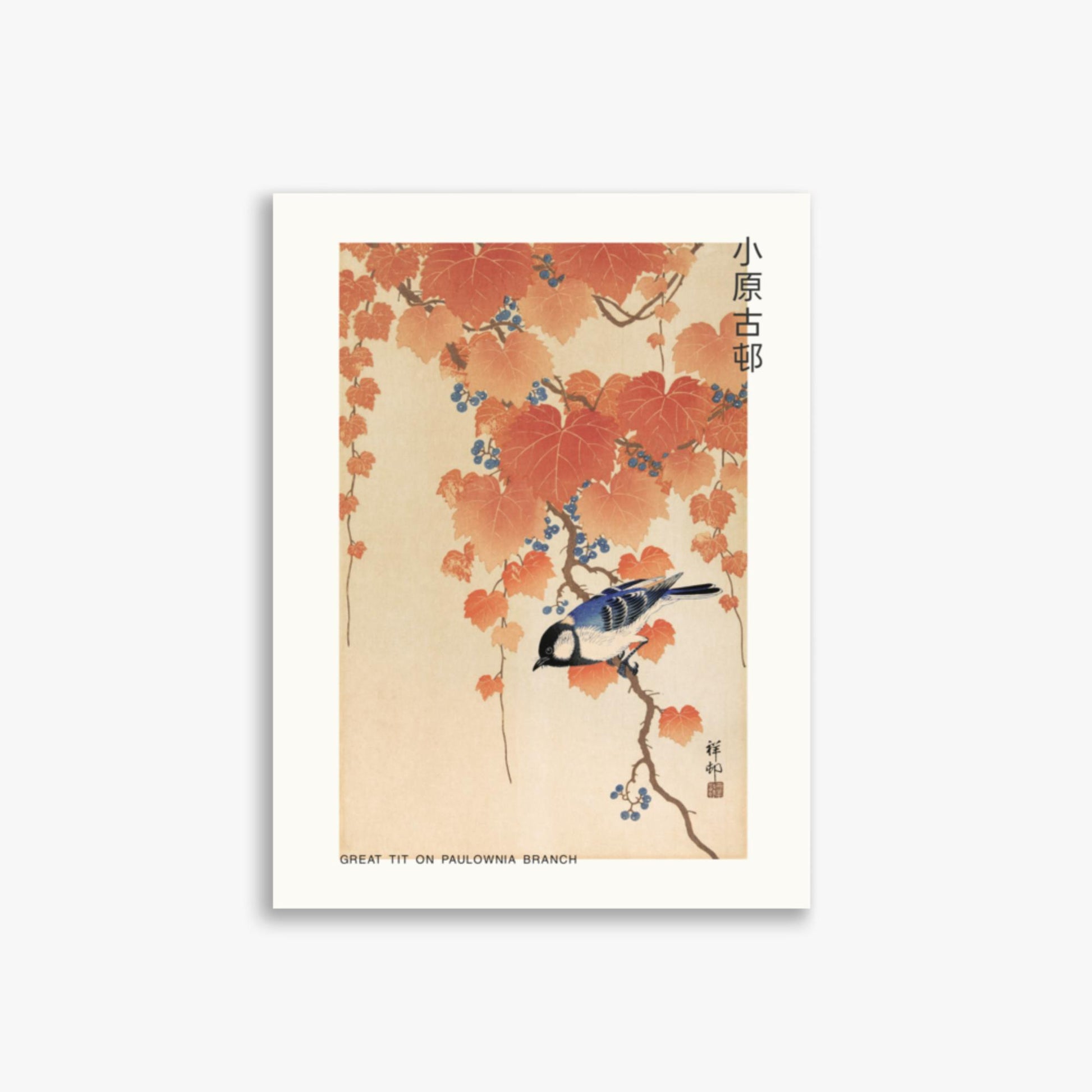 Ohara Koson - Great tit on paulownia branch - Decoration 30x40 cm Poster