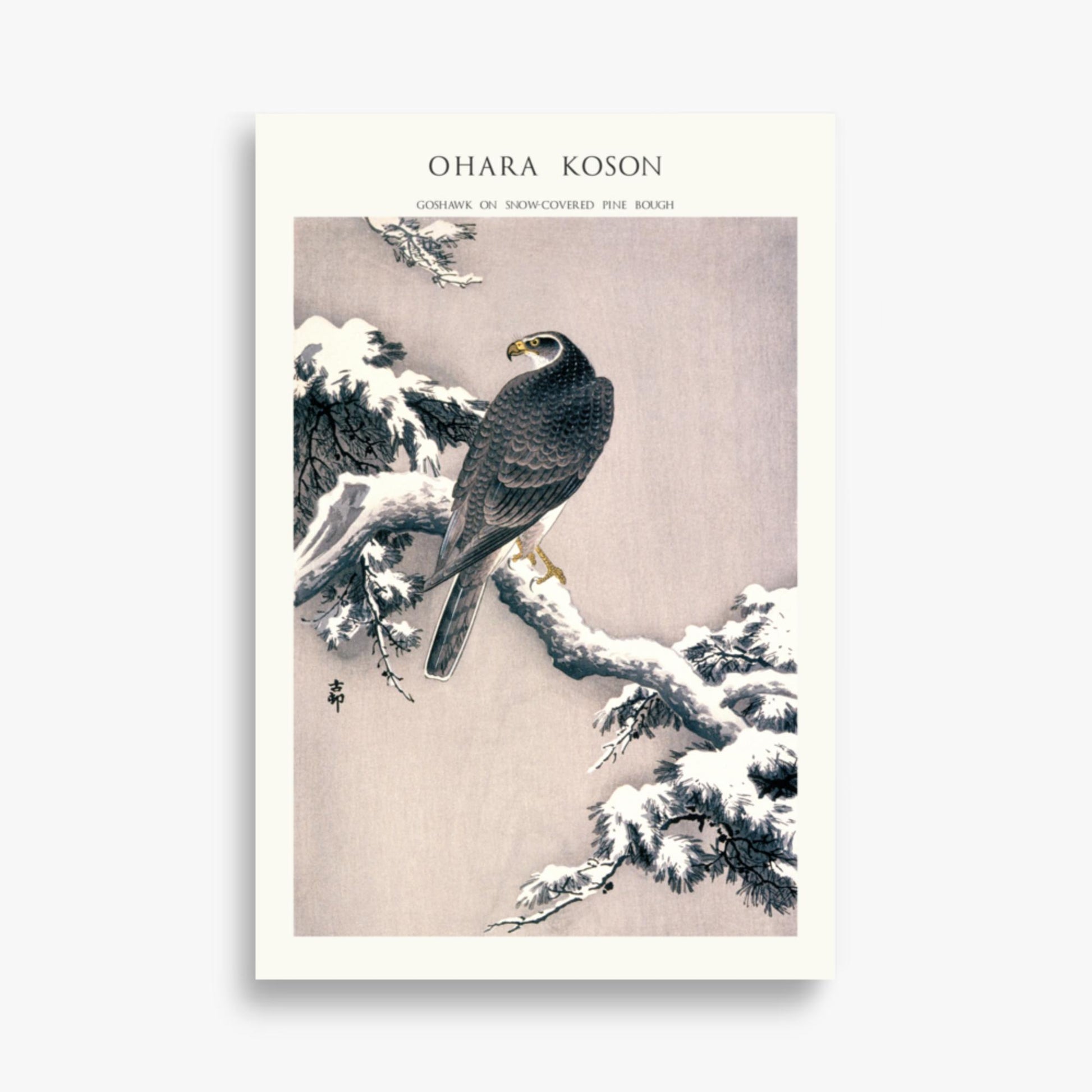 Ohara Koson - Goshawk on Snow-covered Pine Bough  - Decoration 61x91 cm Poster