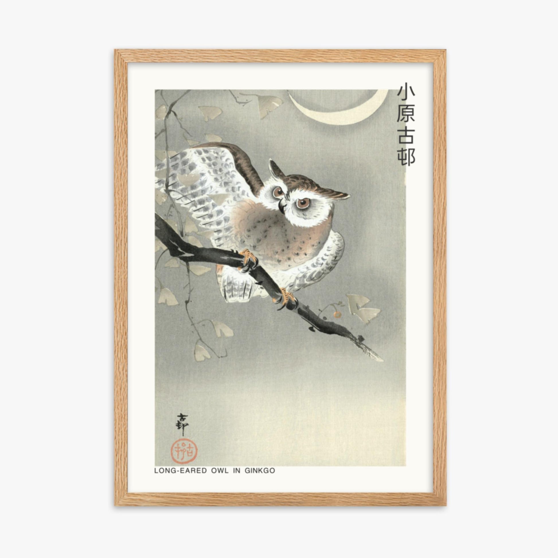 Ohara Koson - Long-eared owl in ginkgo - Decoration 50x70 cm Poster With Oak Frame