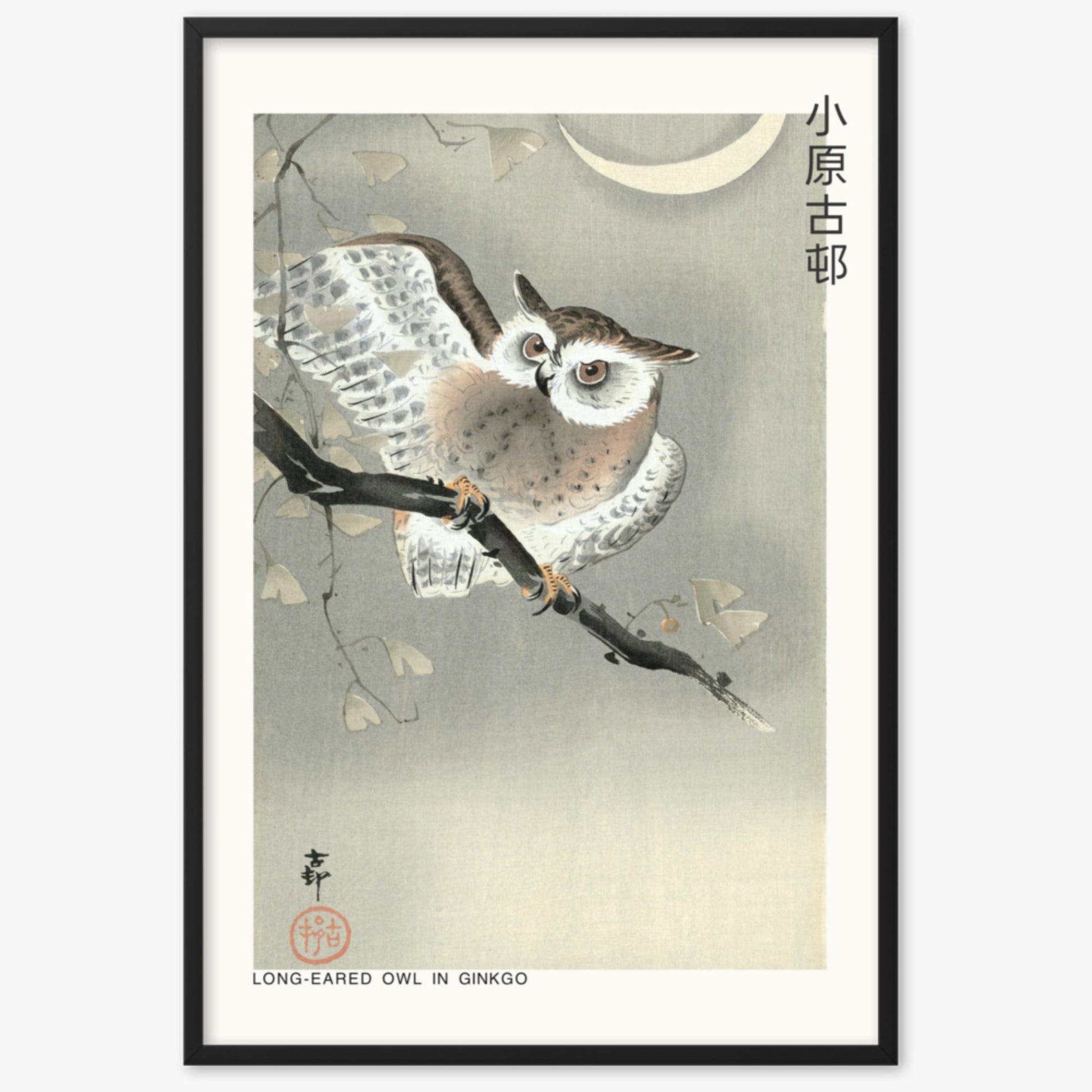 Ohara Koson - Long-eared owl in ginkgo - Decoration 61x91 cm Poster With Black Frame