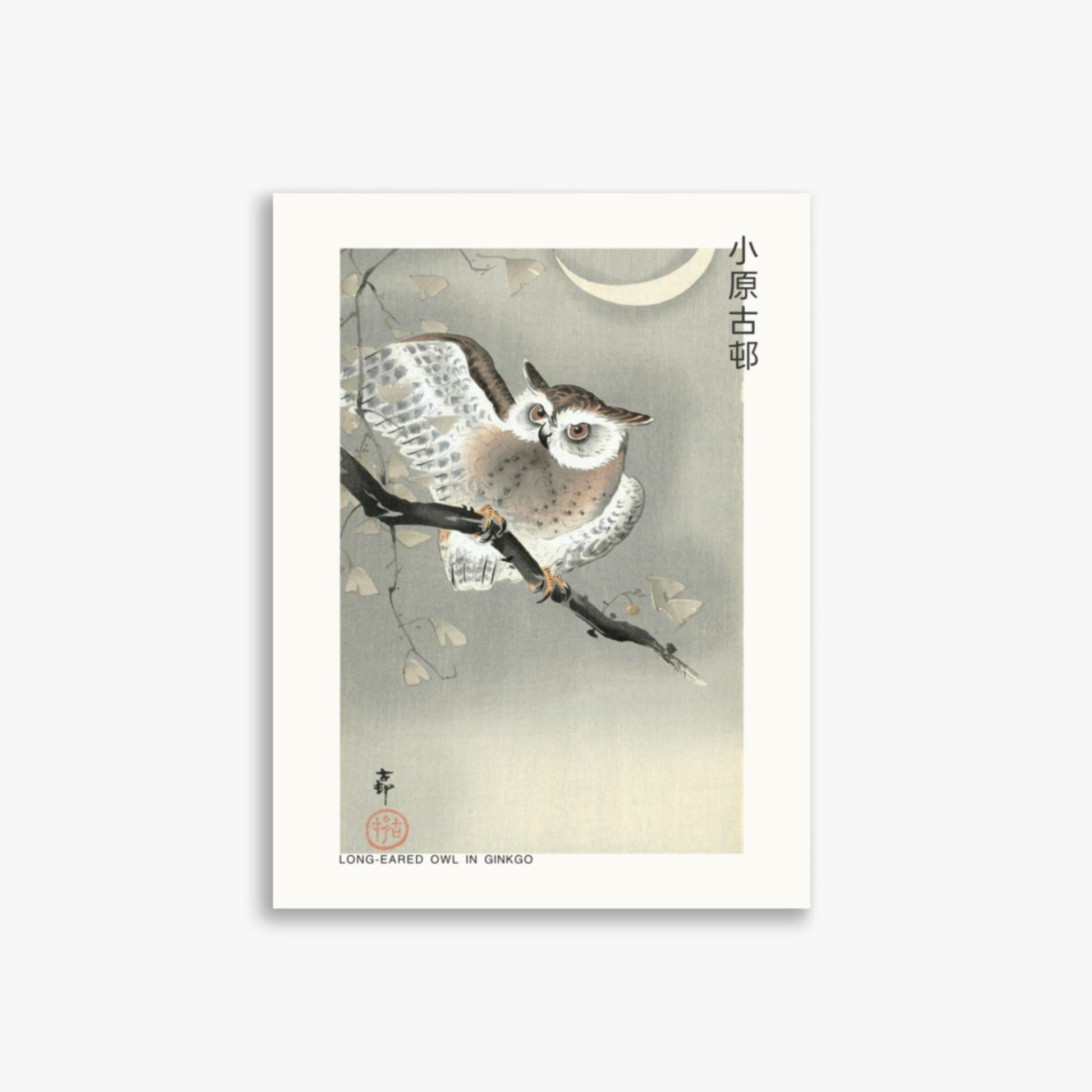 Ohara Koson - Long-eared owl in ginkgo - Decoration 30x40 cm Poster