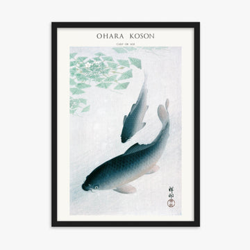 Ohara Koson - Carp or Koi - Decoration 50x70 cm Poster With Black Frame