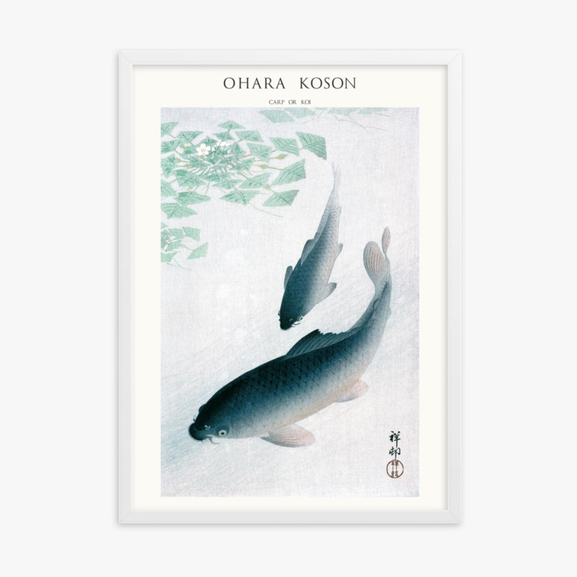 Ohara Koson - Carp or Koi - Decoration 50x70 cm Poster With White Frame