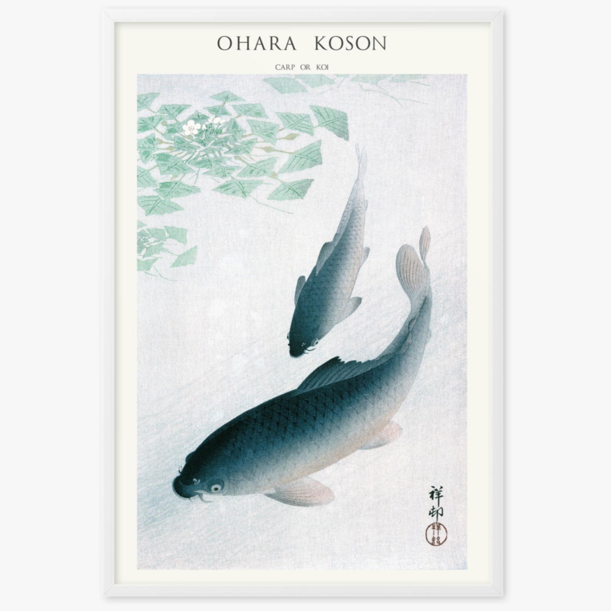 Ohara Koson - Carp or Koi - Decoration 61x91 cm Poster With White Frame