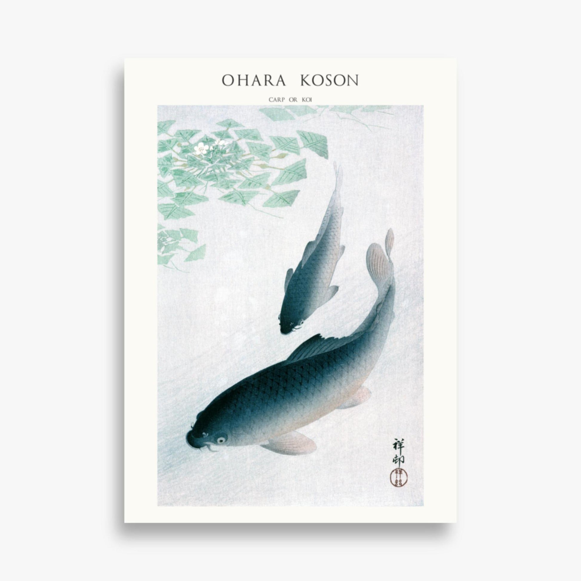 Ohara Koson - Carp or Koi - Decoration 50x70 cm Poster