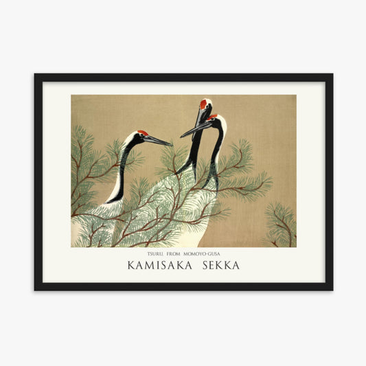 Kamisaka Sekka: Tsuru, from Momoyo-gusa - Japandi - 50x70 cm Poster With Black Frame