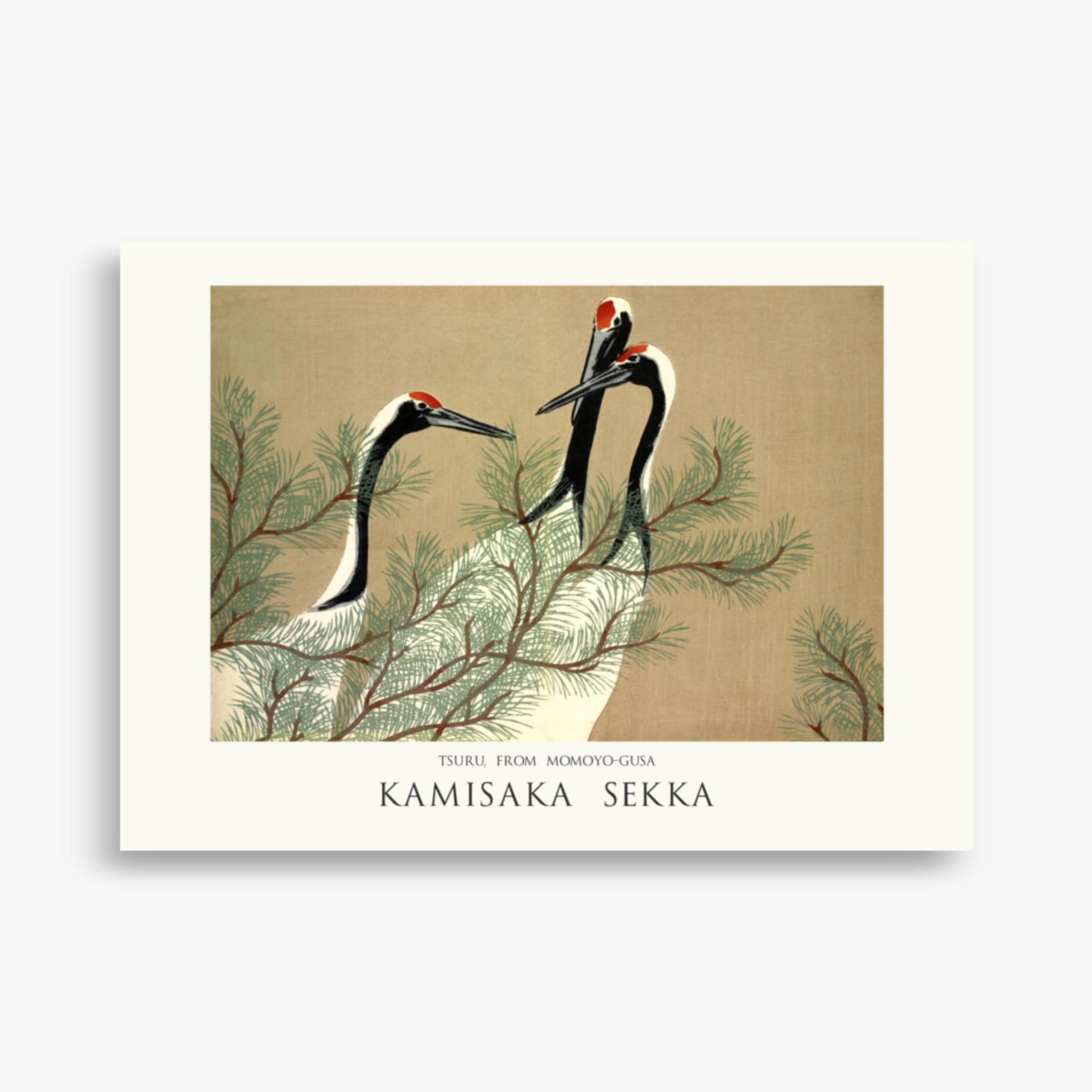 Kamisaka Sekka: Tsuru, from Momoyo-gusa - Japandi - 50x70 cm Poster