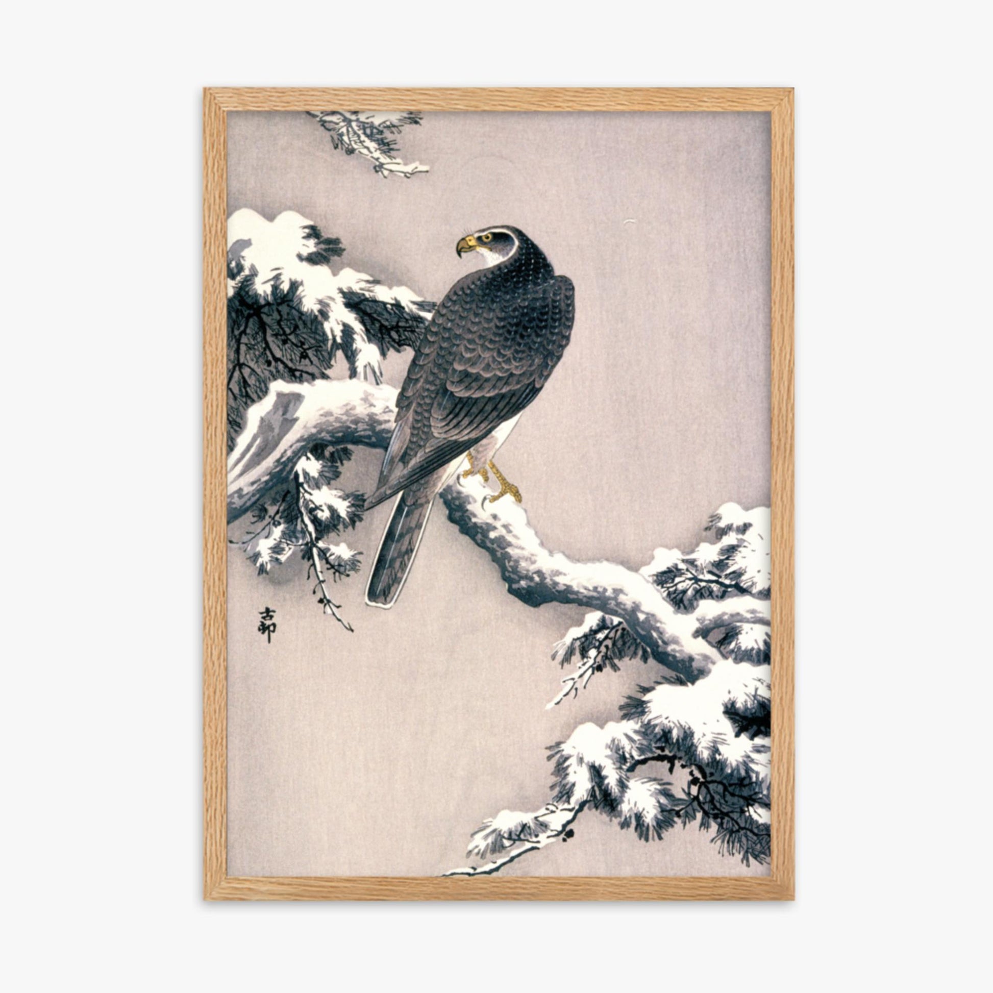 Ohara Koson - Goshawk on Snow-covered Pine Bough  50x70 cm Poster With Oak Frame