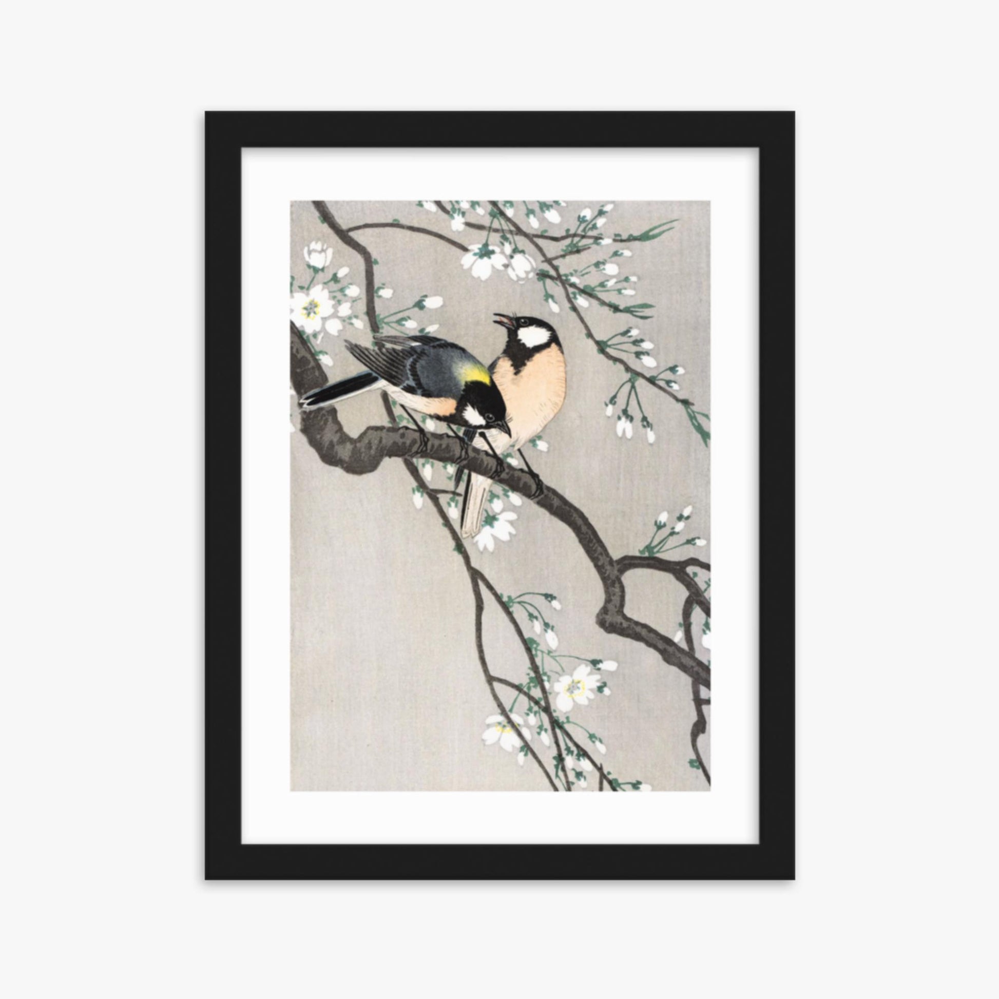 Ohara Koson - Tits on Cherry Branch 30x40 cm Poster With Black Frame