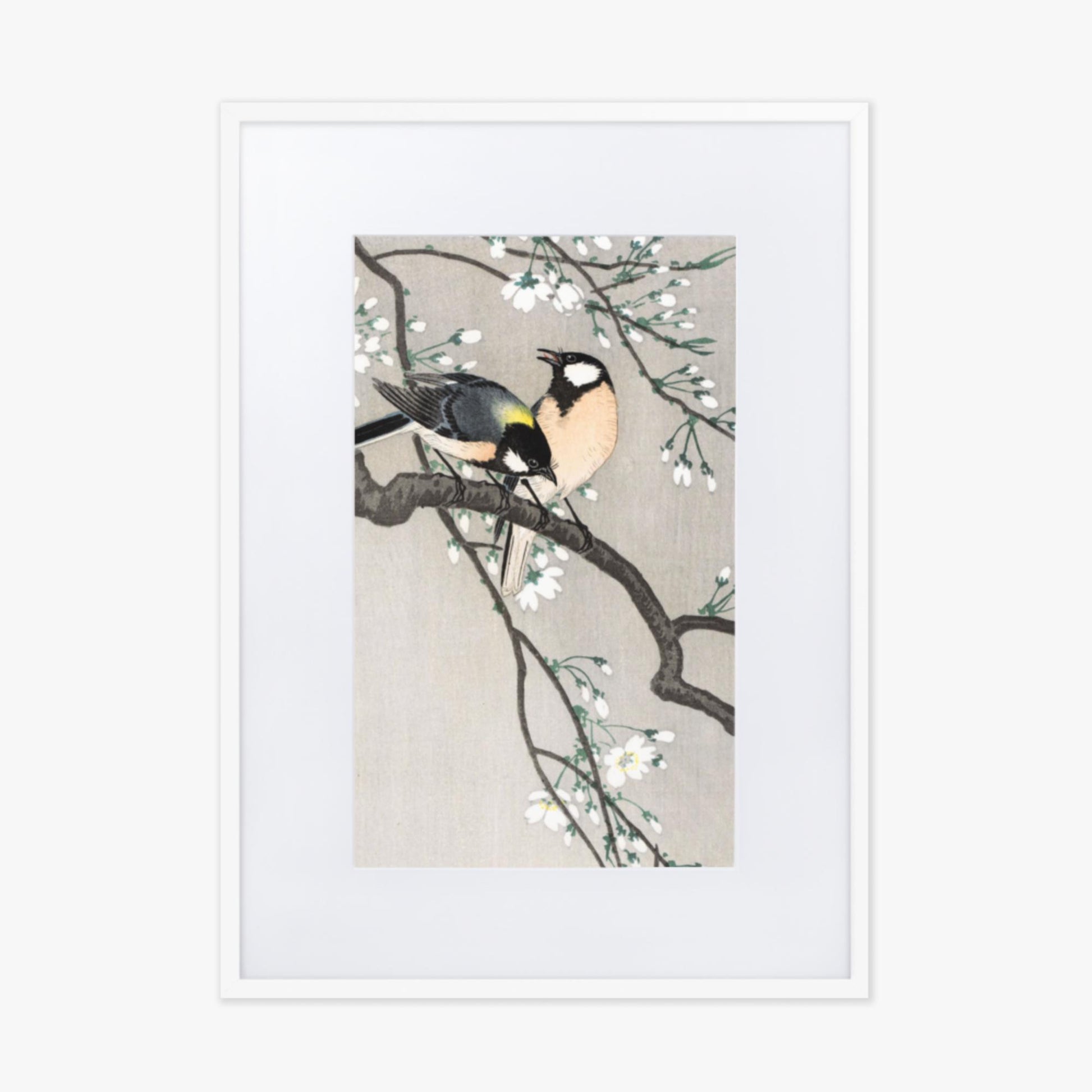 Ohara Koson - Tits on Cherry Branch 50x70 cm Poster With White Frame