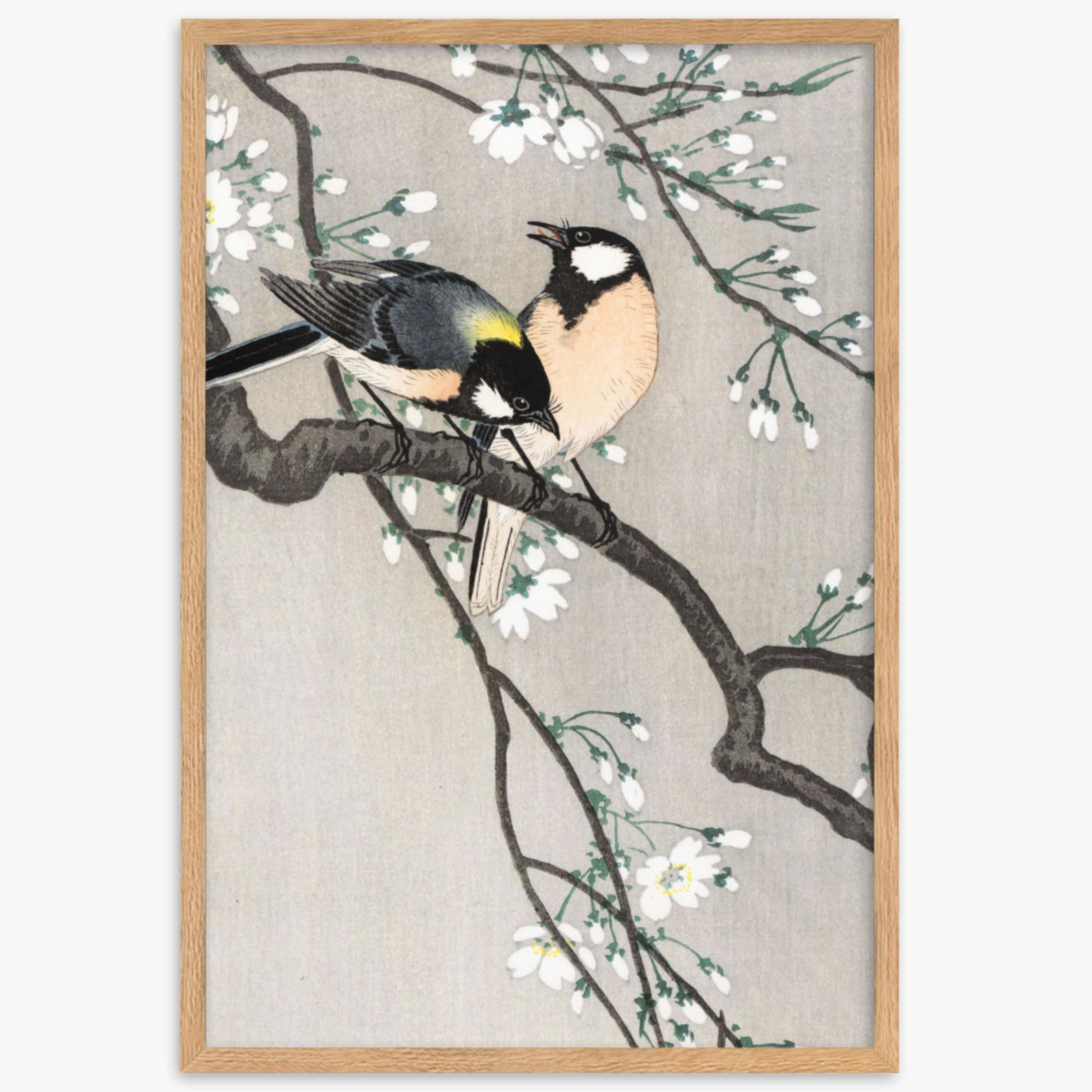 Ohara Koson - Tits on Cherry Branch 61x91 cm Poster With Oak Frame