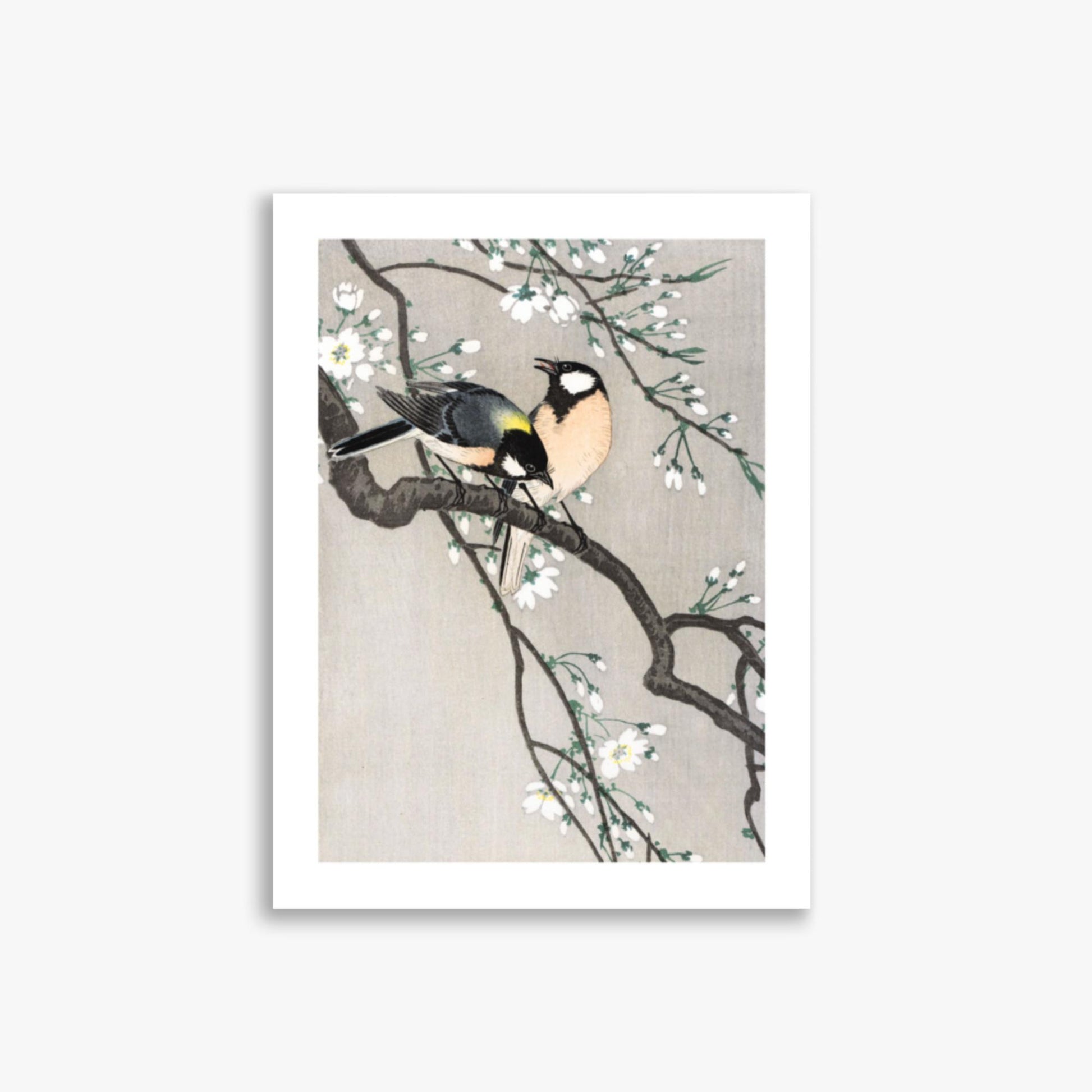 Ohara Koson - Tits on Cherry Branch 30x40 cm Poster