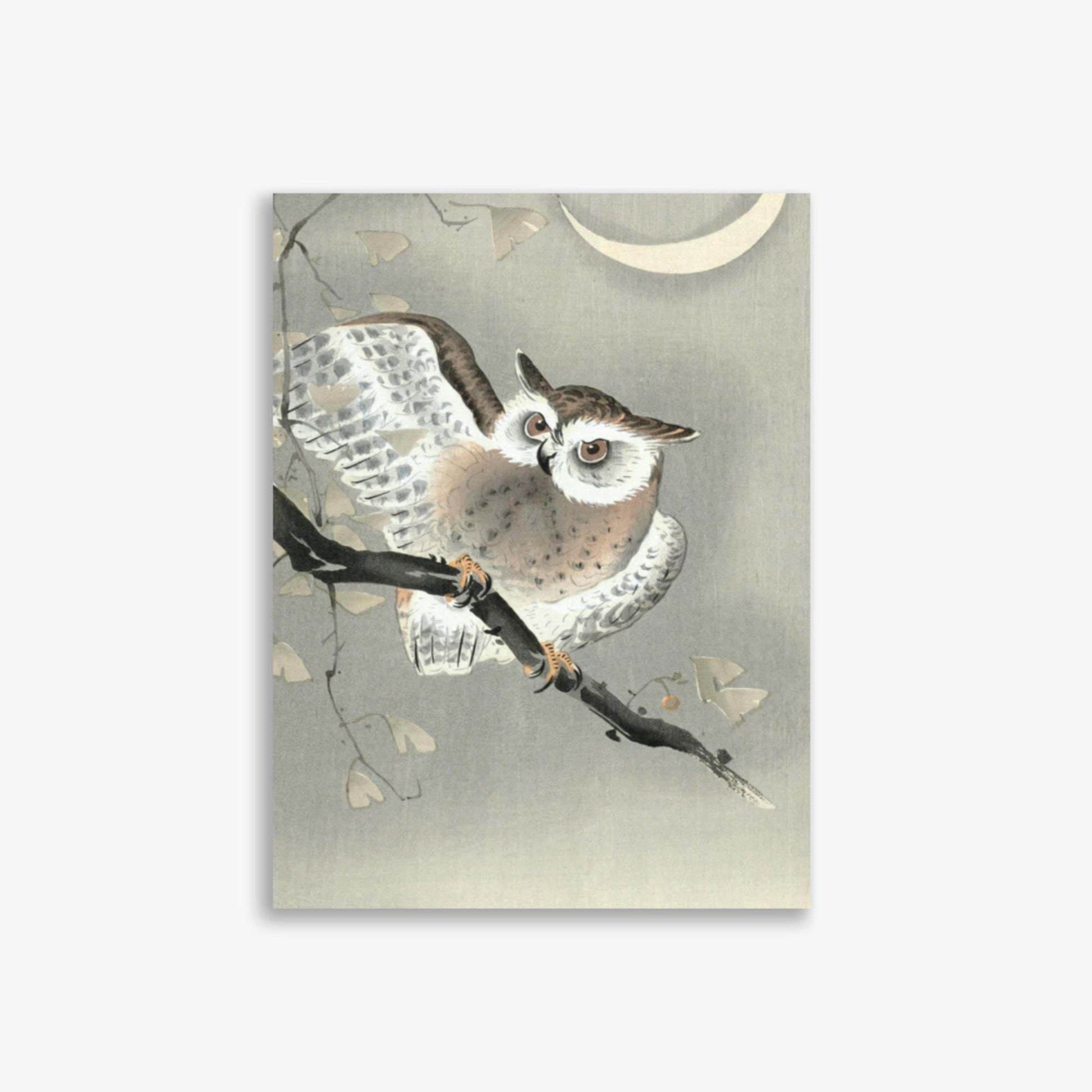 Ohara Koson - Long-Eared Owl in Ginkgo 30x40 cm Poster