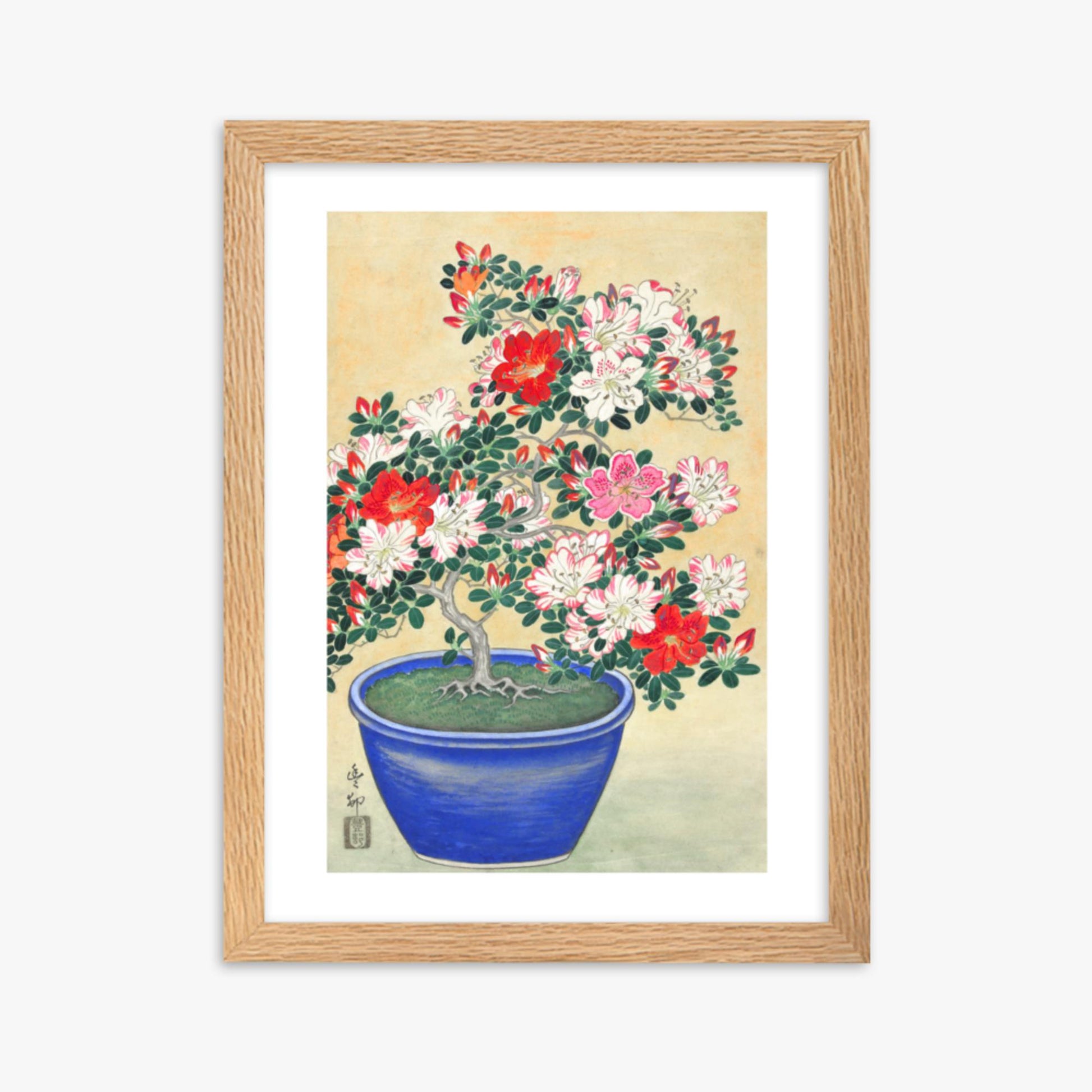 Ohara Koson - Blooming Azalea in Blue Pot 30x40 cm Poster With Oak Frame