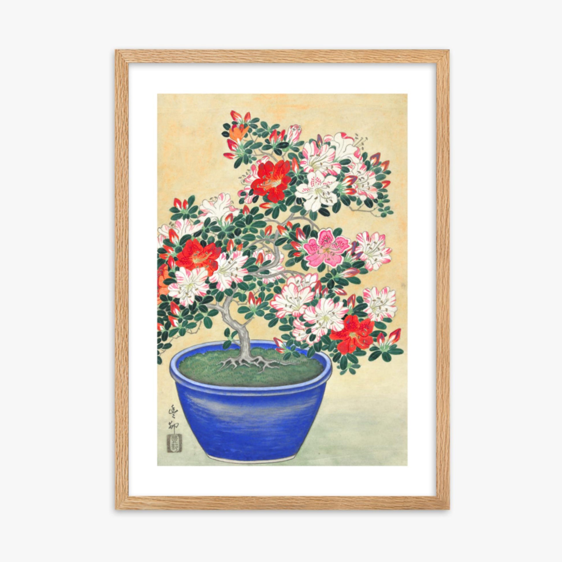 Ohara Koson - Blooming Azalea in Blue Pot 50x70 cm Poster With Oak Frame