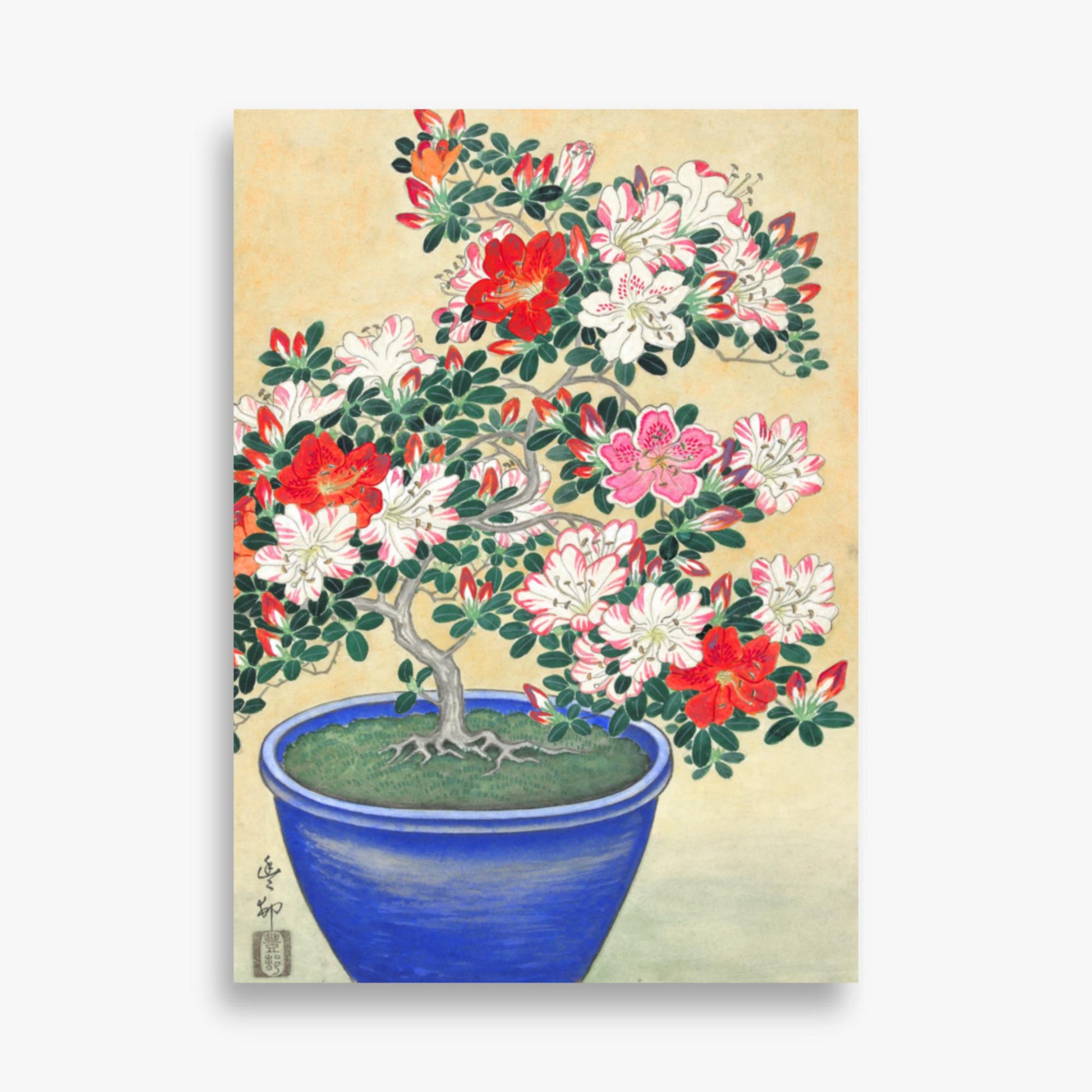 Ohara Koson - Blooming Azalea in Blue Pot 50x70 cm Poster