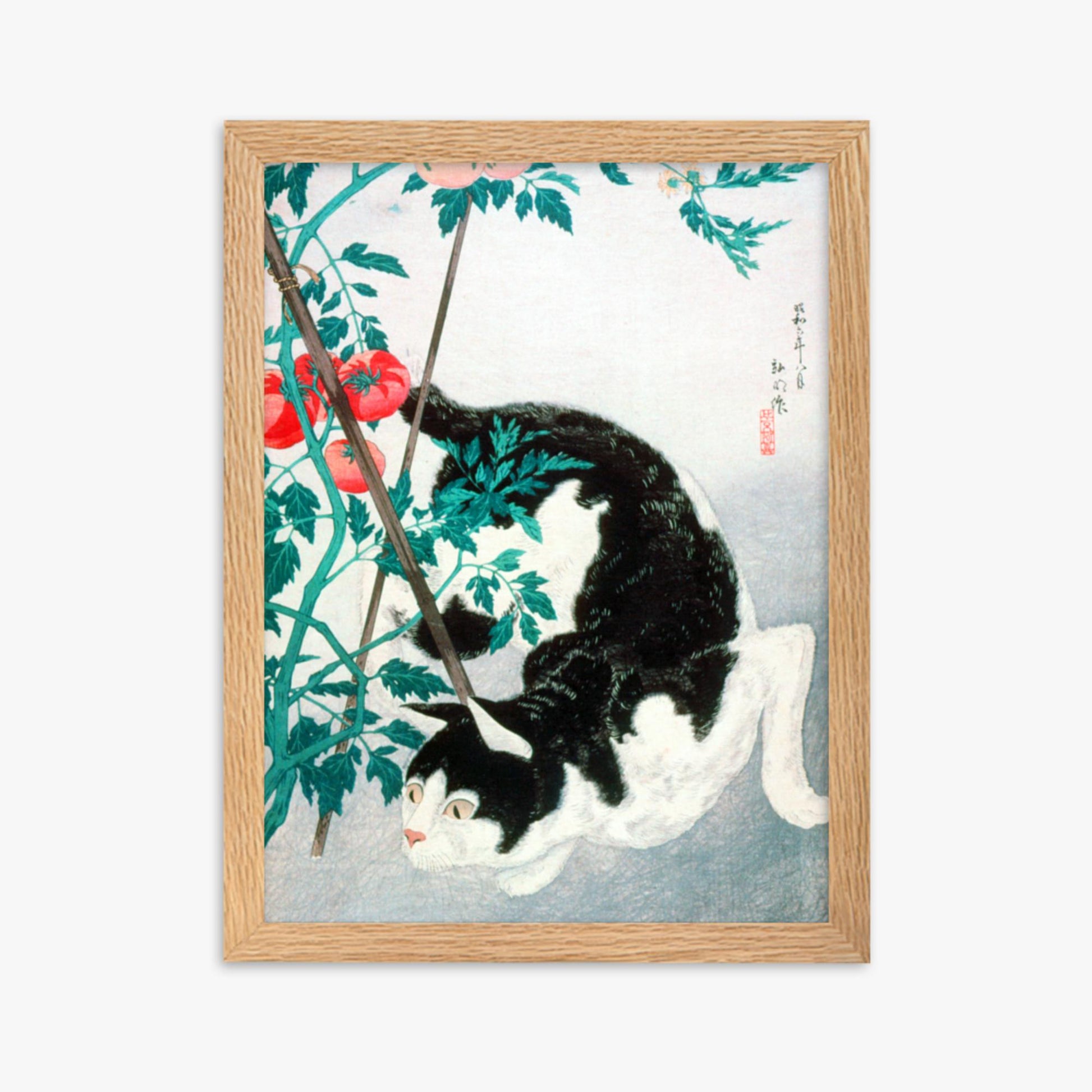 Takahashi Hiroaki (Shōtei) - Cat with Tomato Plant 30x40 cm Poster With Oak Frame