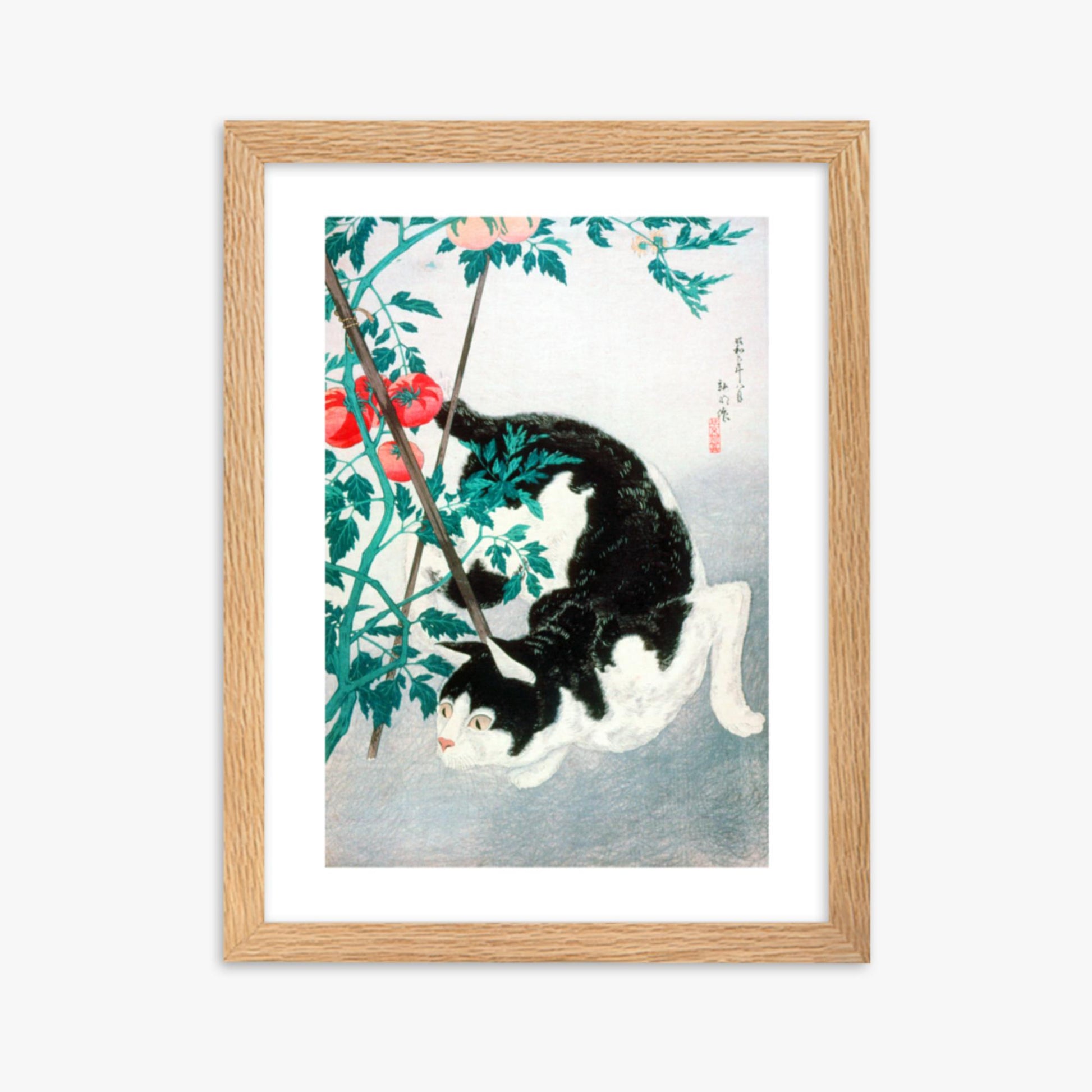 Takahashi Hiroaki (Shōtei) - Cat with Tomato Plant 30x40 cm Poster With Oak Frame