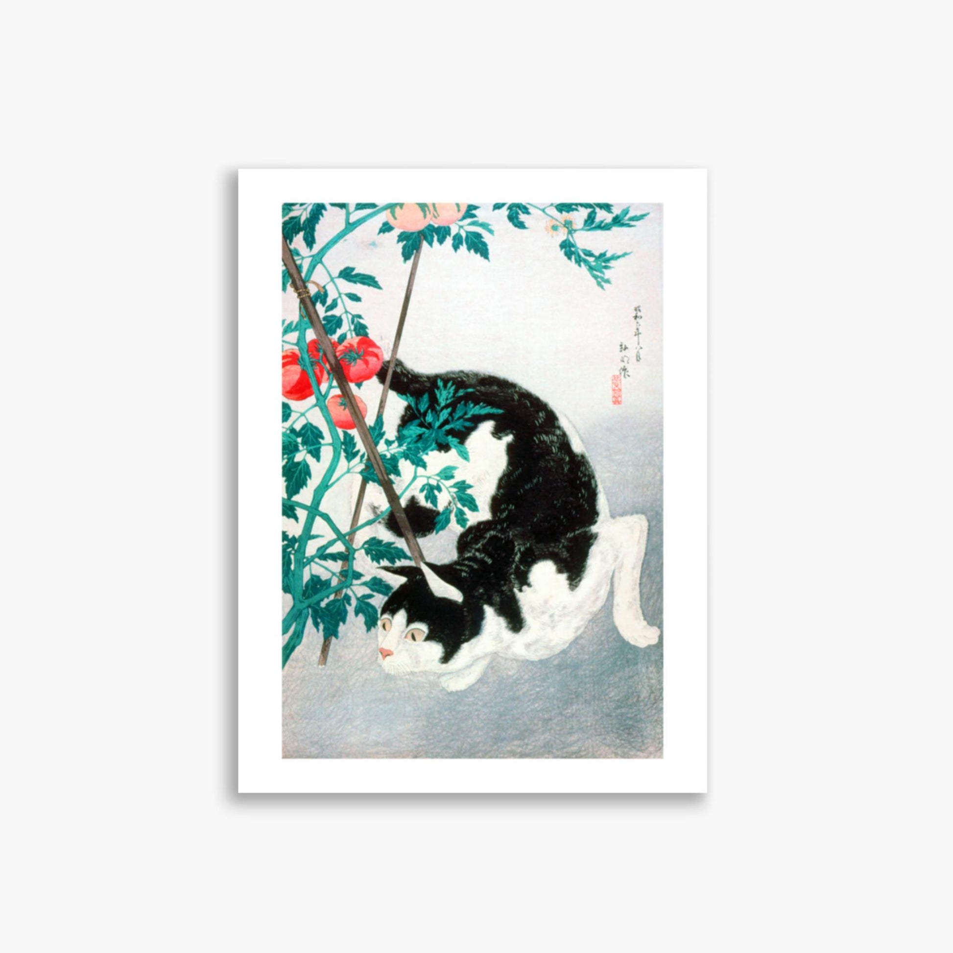 Takahashi Hiroaki (Shōtei) - Cat with Tomato Plant 30x40 cm Poster