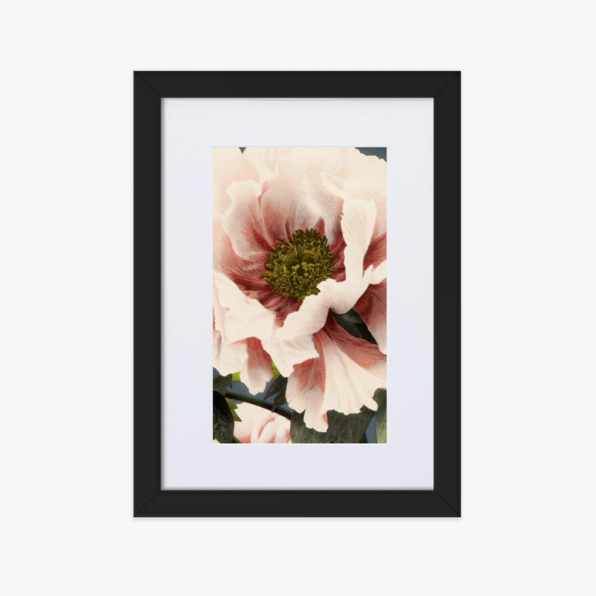 Ogawa Kazumasa - Peony 21x30 cm Poster With Black Frame