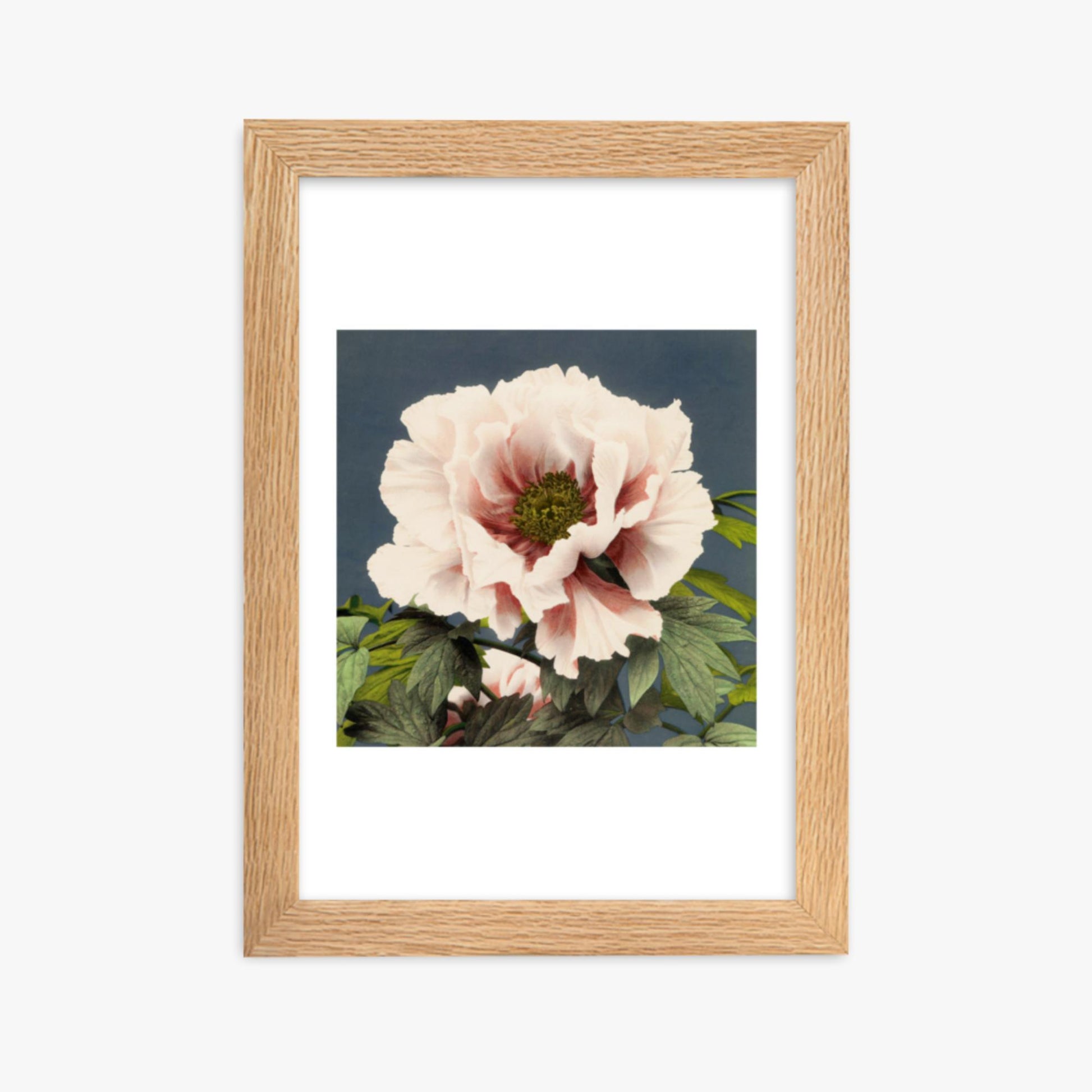 Ogawa Kazumasa - Peony 21x30 cm Poster With Oak Frame