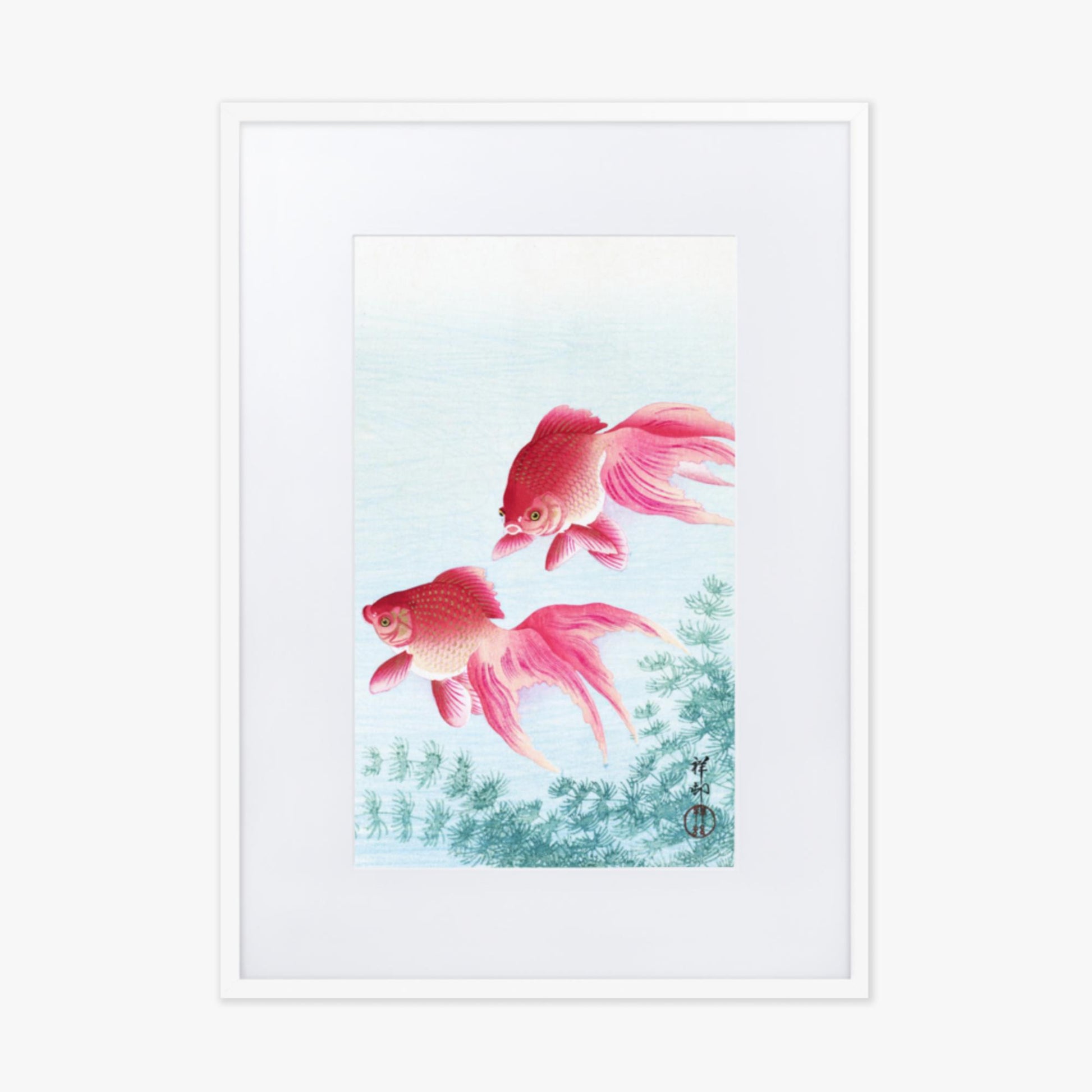 Ohara Koson - Two veil goldfish 50x70 cm Poster With White Frame