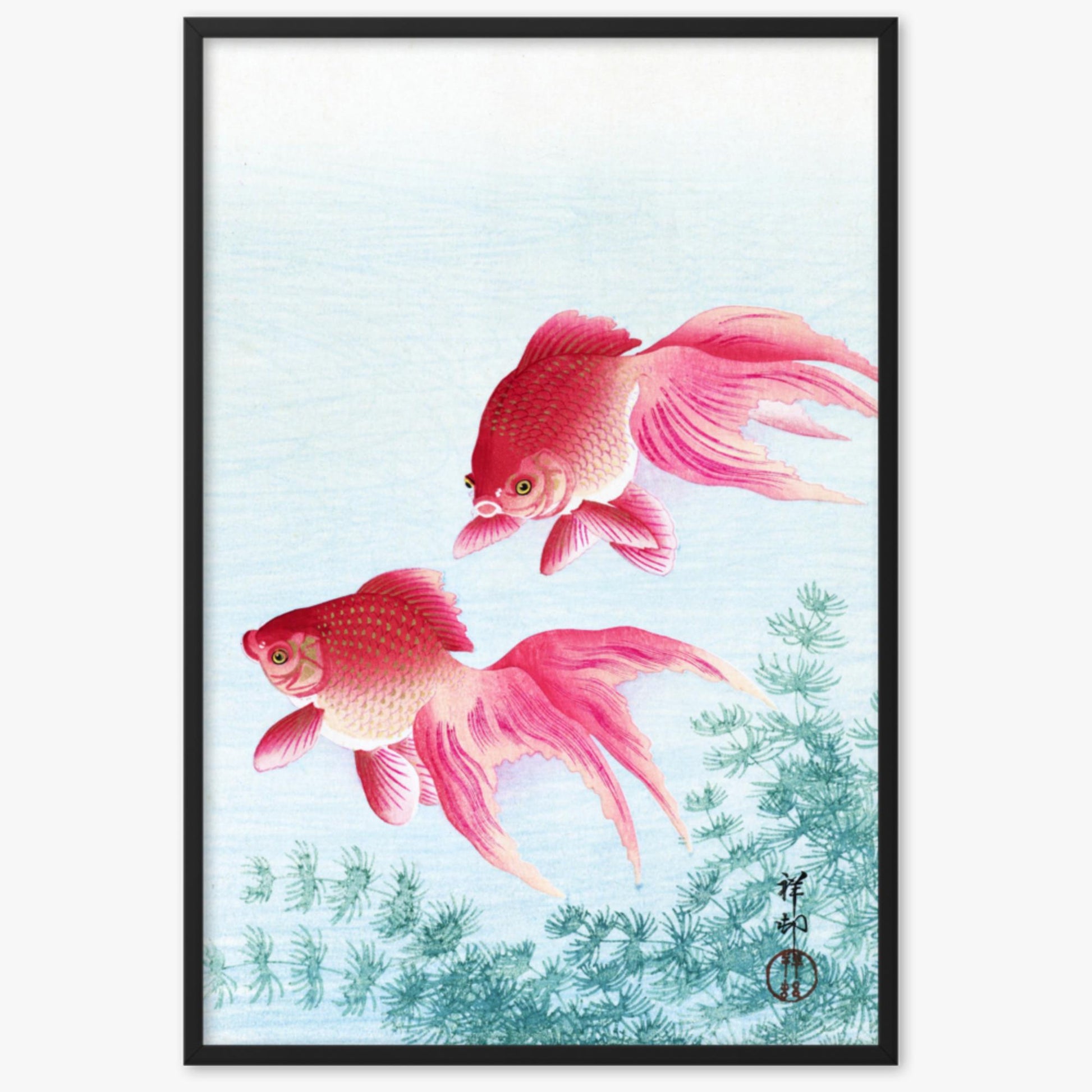 Ohara Koson - Two veil goldfish 61x91 cm Poster With Black Frame