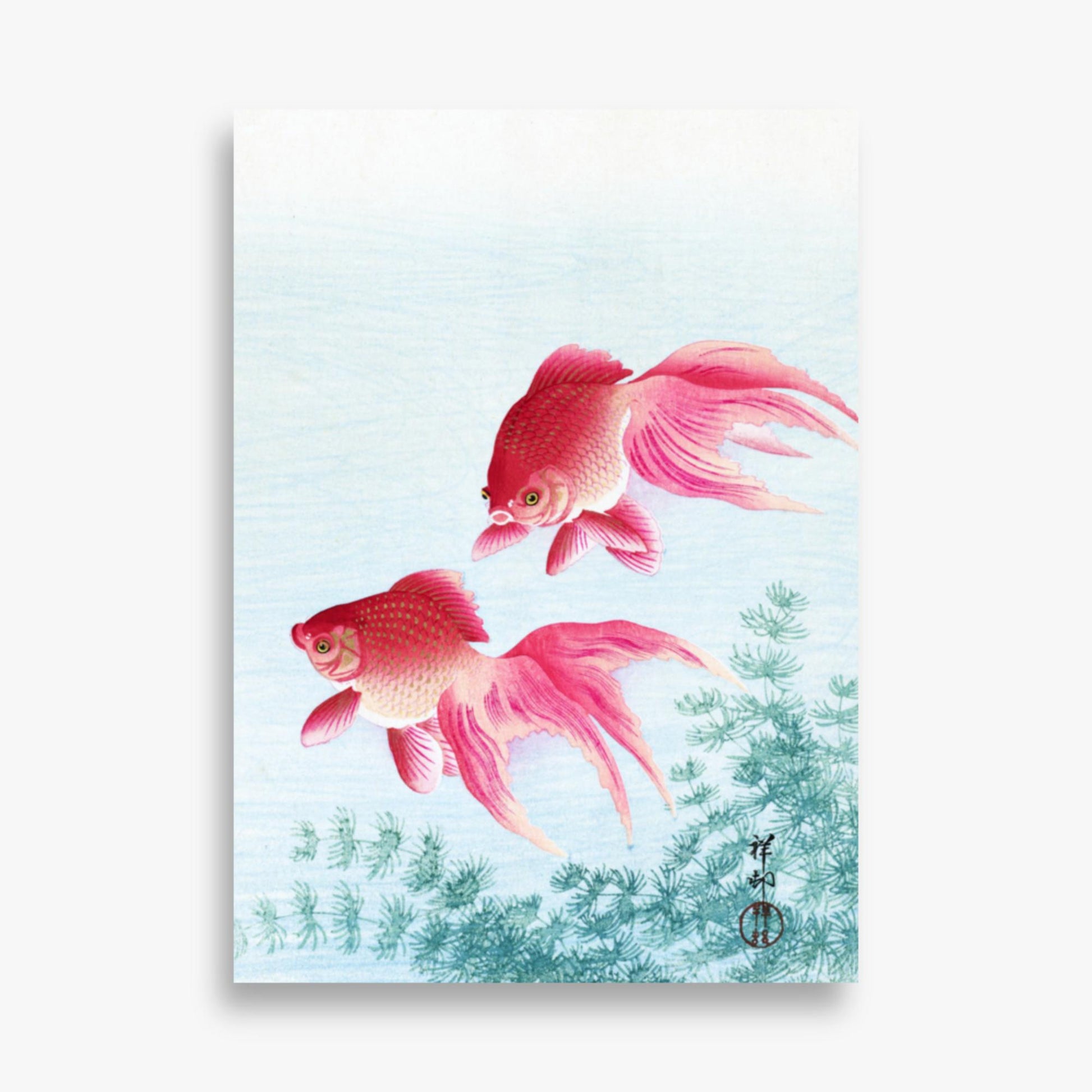 Ohara Koson - Two veil goldfish 50x70 cm Poster