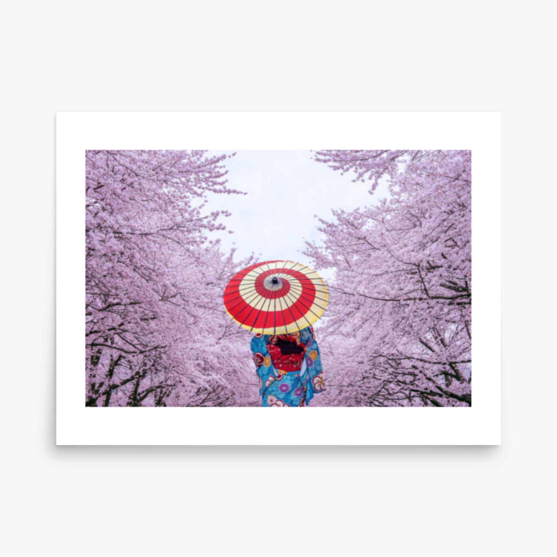 Asian woman wearing japanese traditional kimono and cherry blossom in spring 18x24 in Poster