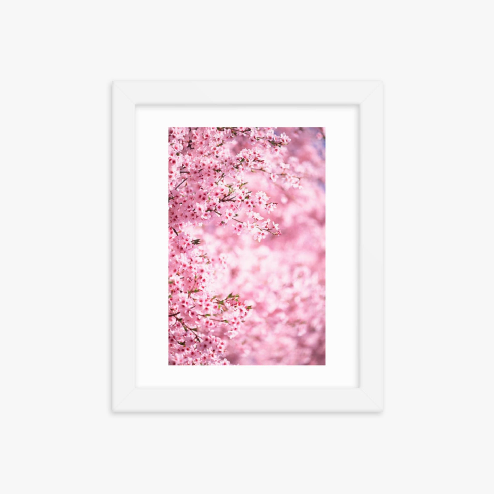 Pink Cherry Blossoms 2 8x10 in Poster With White Frame