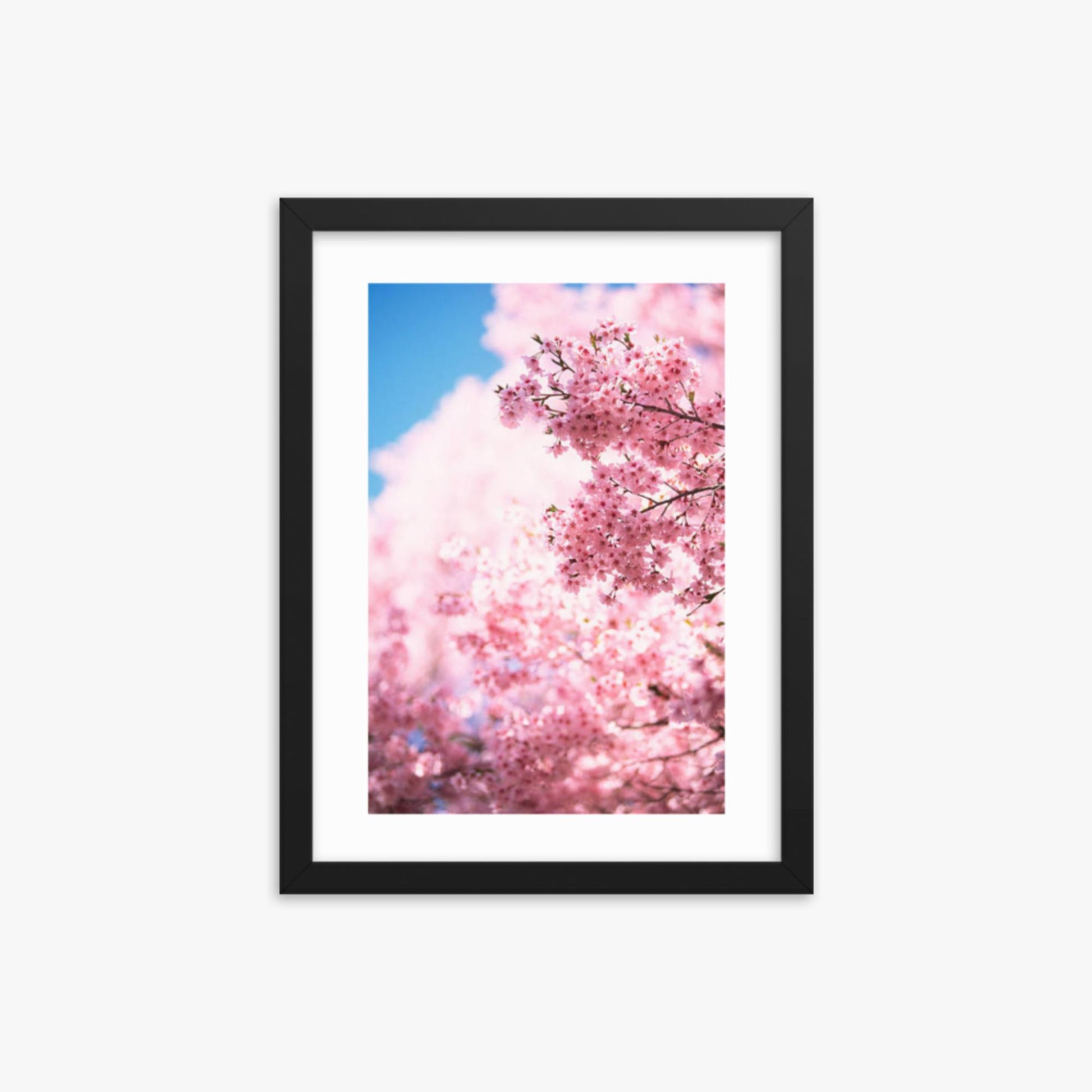 Cherry Blossoms 2 12x16 in Poster With Black Frame