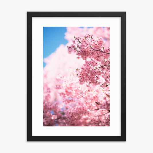 Cherry Blossoms 2 18x24 in Poster With Black Frame