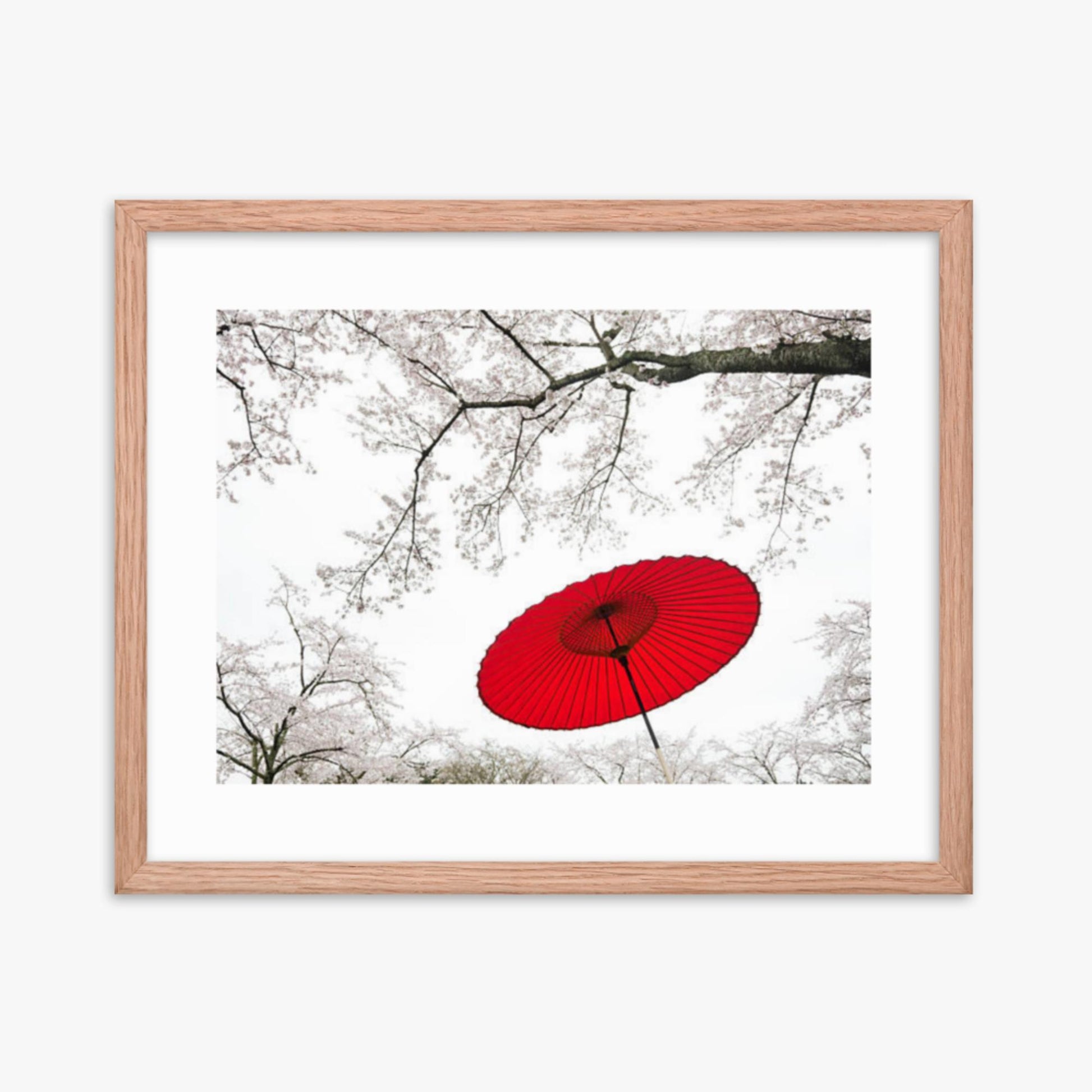 Japanese Umbrella 16x20 in Poster With Oak Frame