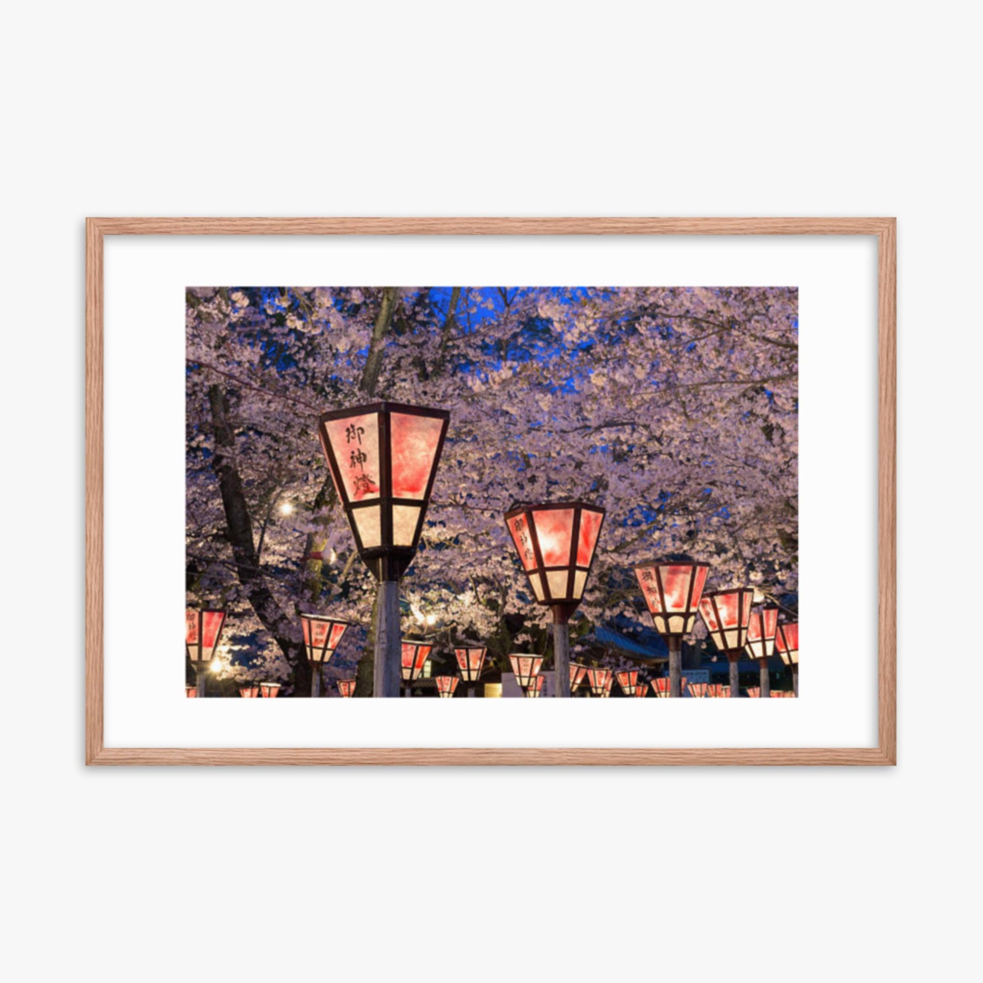 Lantern in Sakura Festival, Japan 24x36 in Poster With Oak Frame