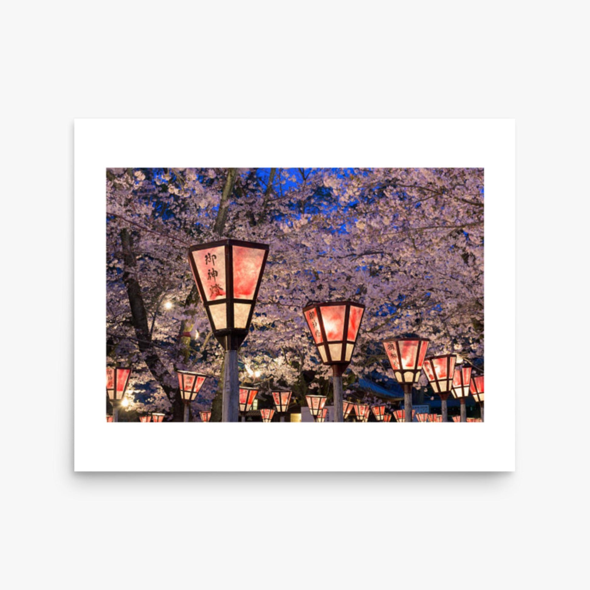 Lantern in Sakura Festival, Japan 16x20 in Poster