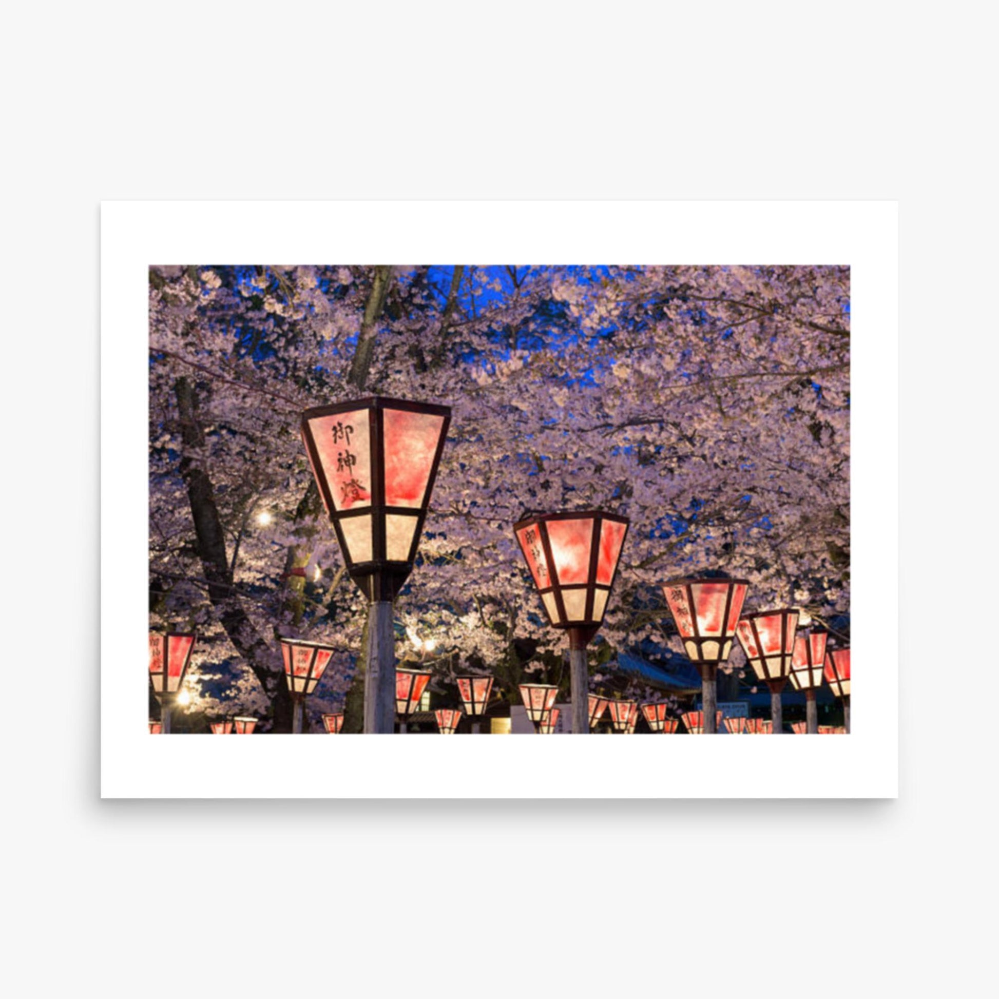 Lantern in Sakura Festival, Japan 18x24 in Poster