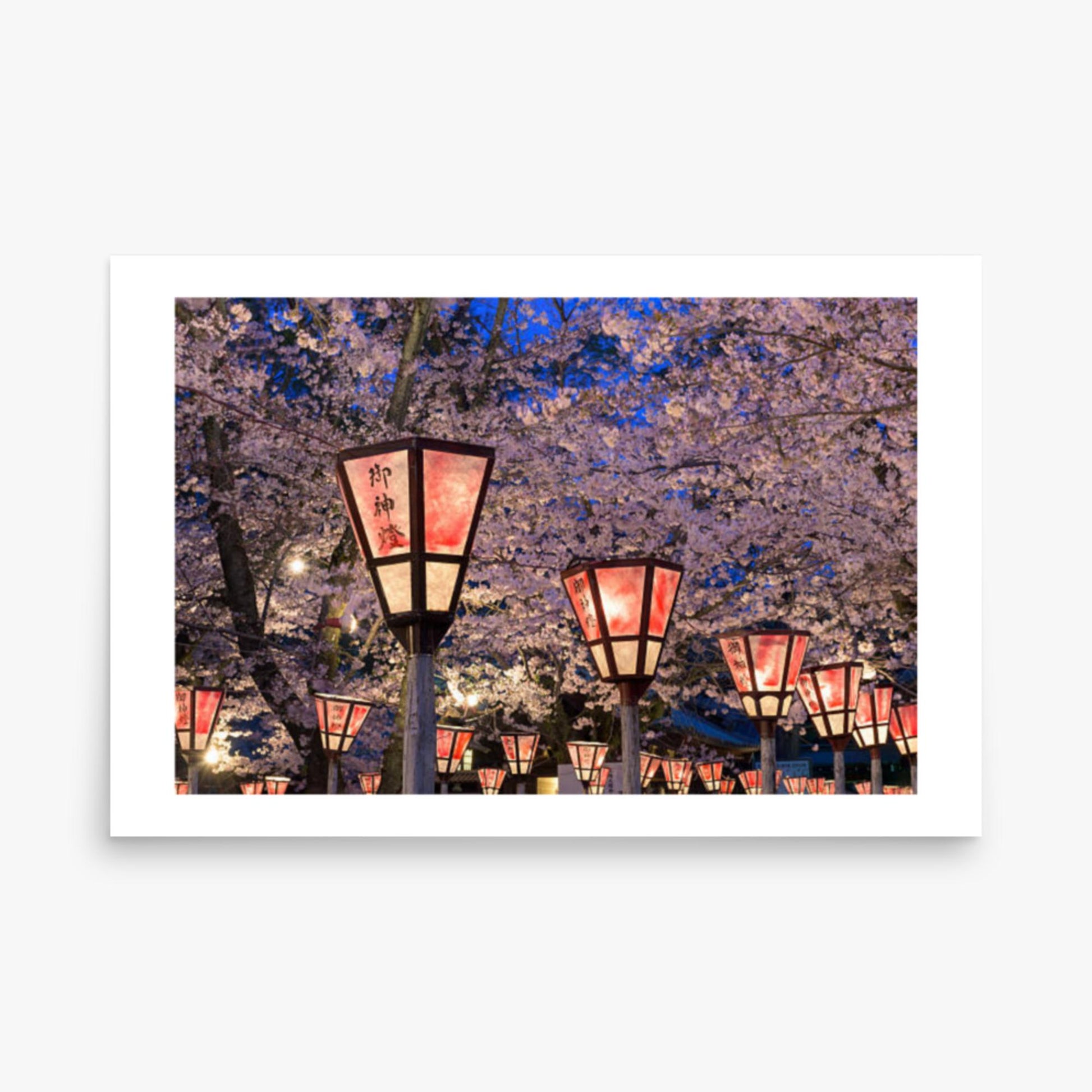 Lantern in Sakura Festival, Japan 24x36 in Poster