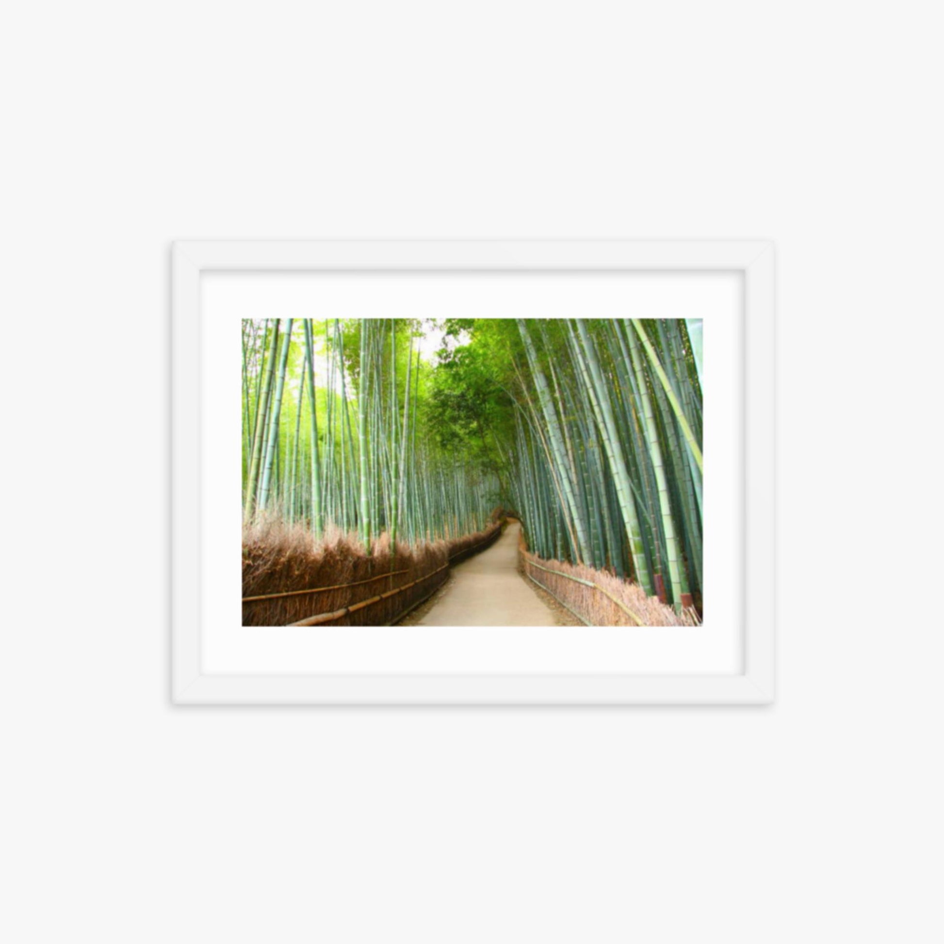 Bamboo grove in Kyoto 12x16 in Poster With White Frame